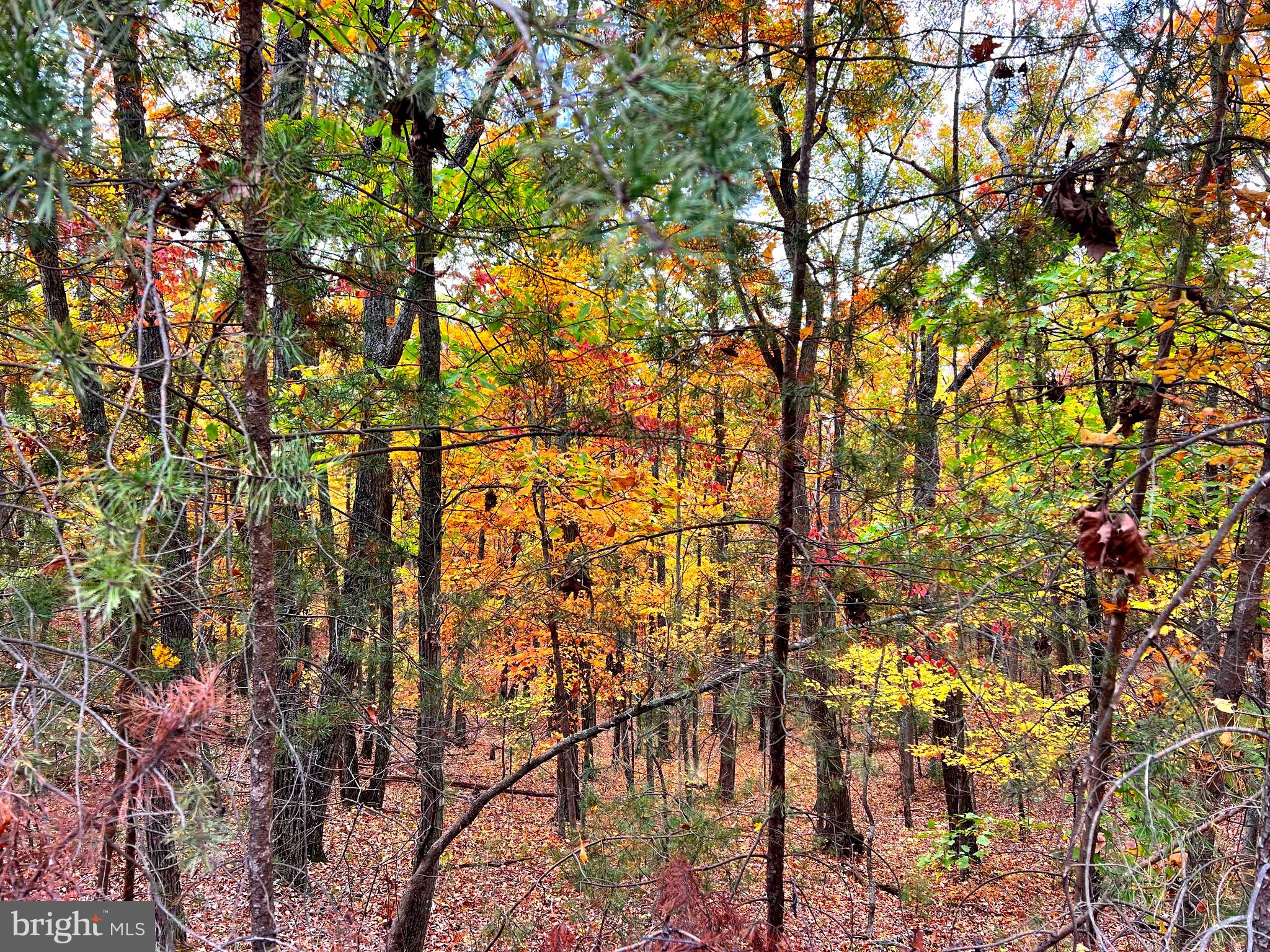 POTOMAV VALLEY OVERLOOK - Land