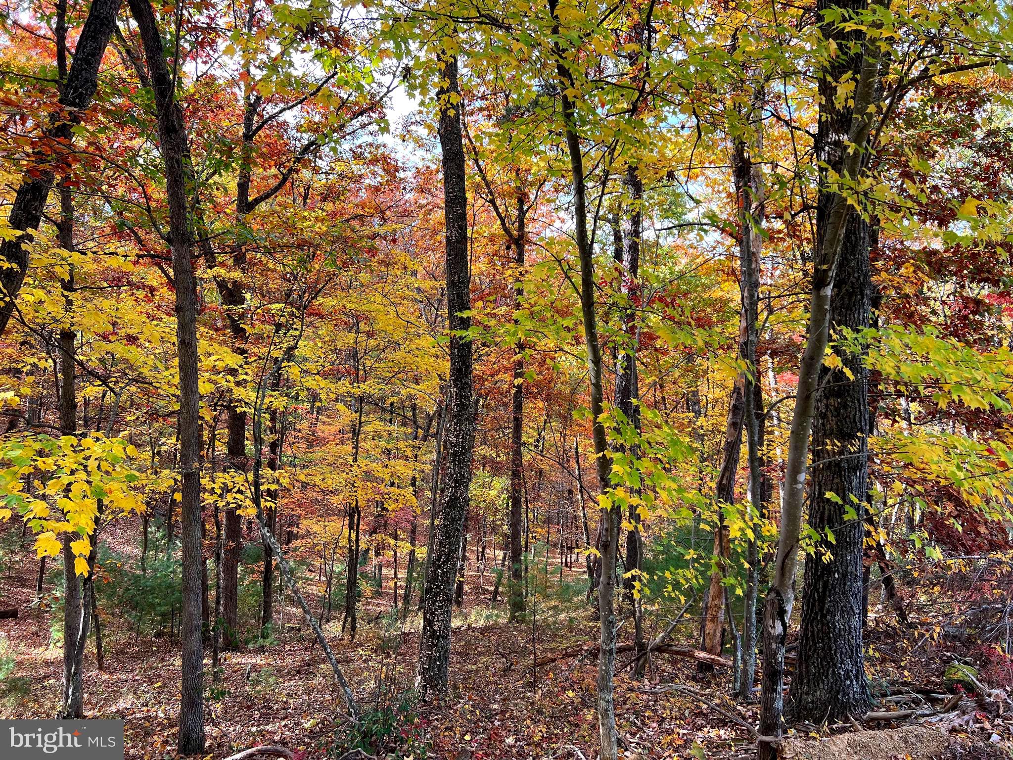 POTOMAV VALLEY OVERLOOK - Land