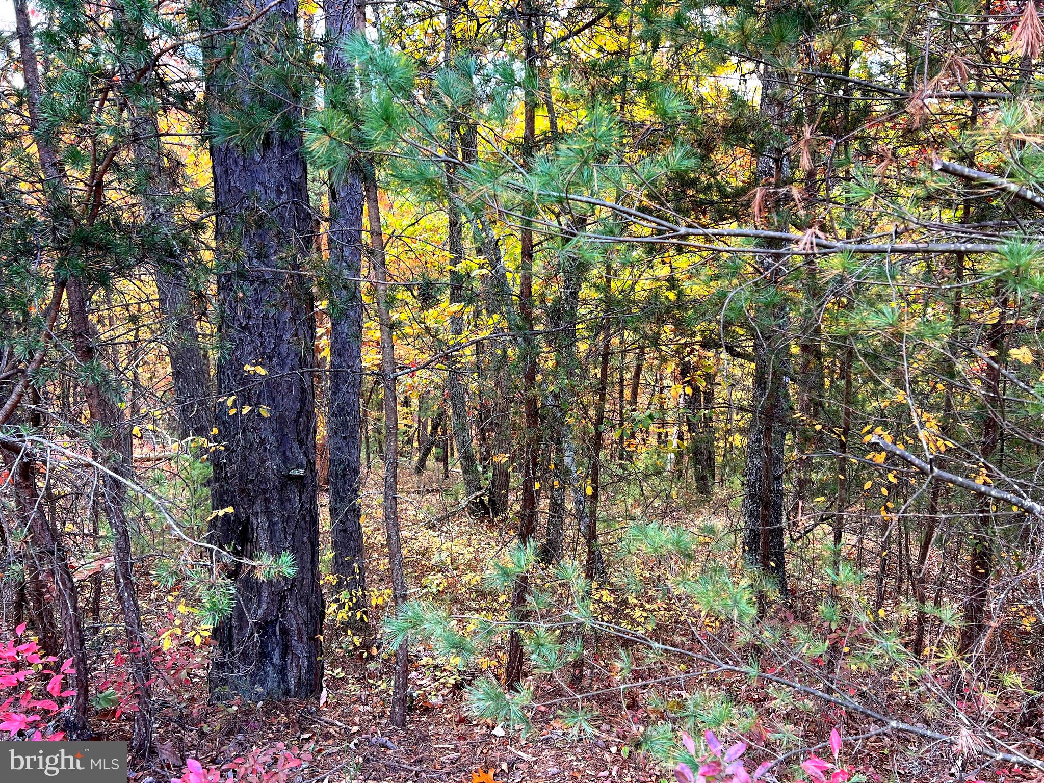 POTOMAV VALLEY OVERLOOK - Land