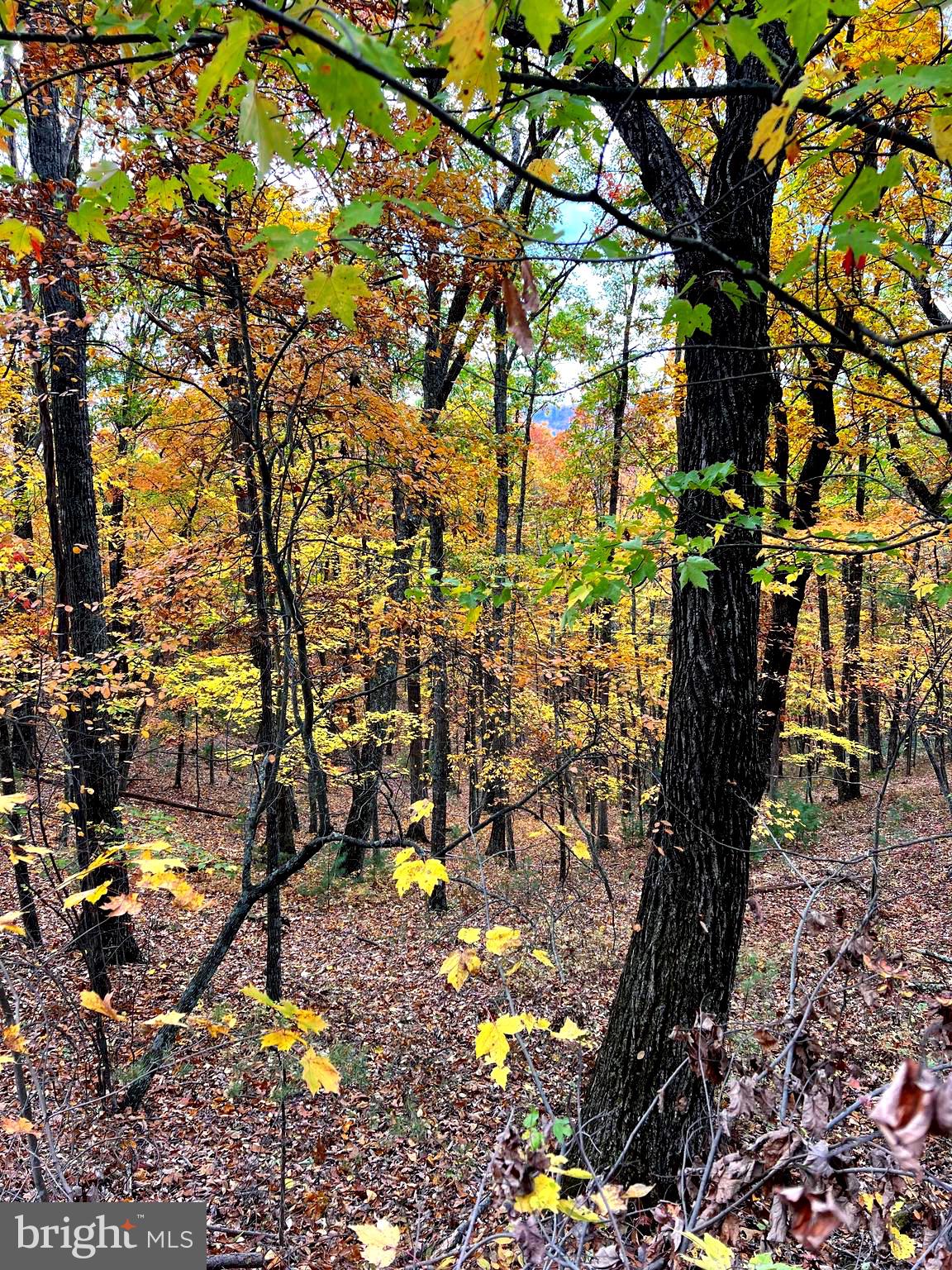 POTOMAV VALLEY OVERLOOK - Land