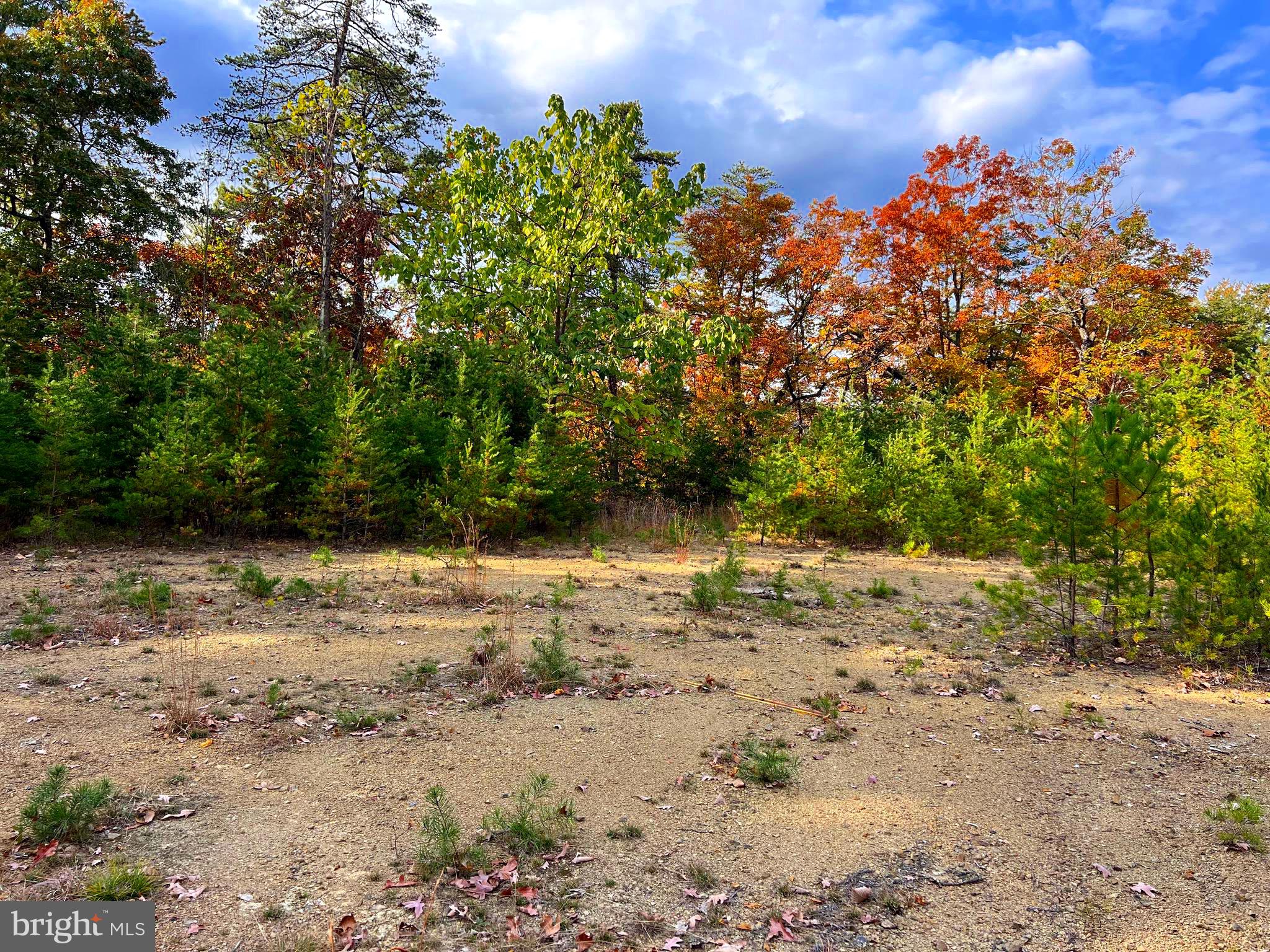 POTOMAV VALLEY OVERLOOK - Land