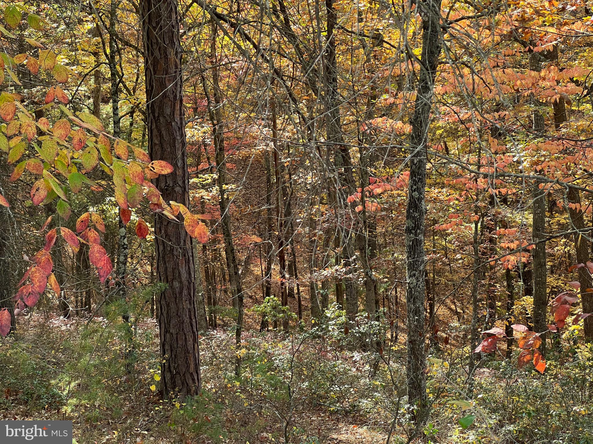 POTOMAV VALLEY OVERLOOK - Land