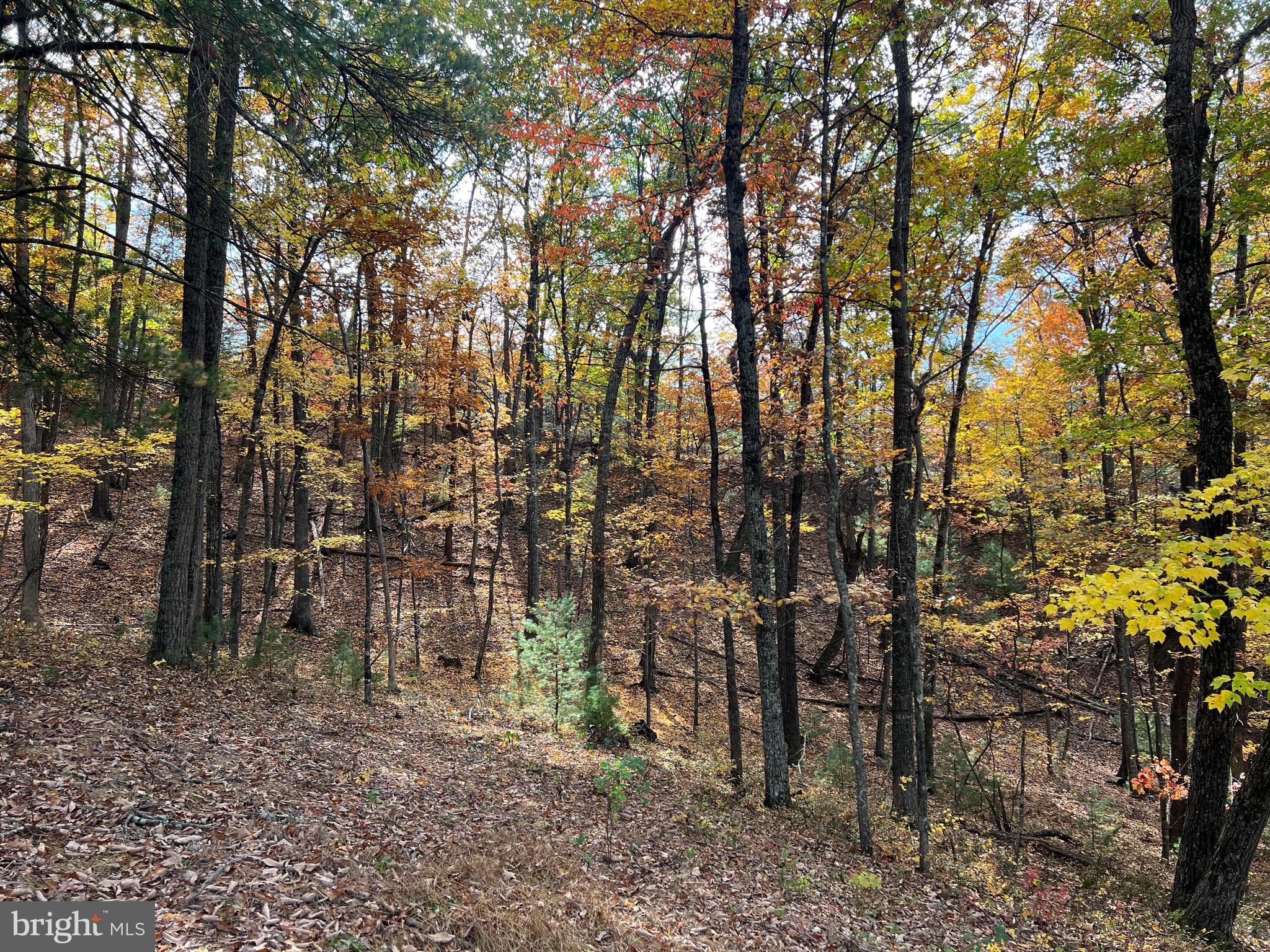 POTOMAV VALLEY OVERLOOK - Land