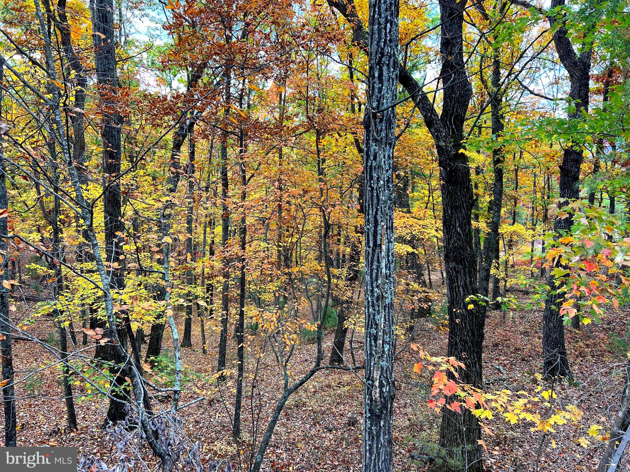 POTOMAV VALLEY OVERLOOK - Land