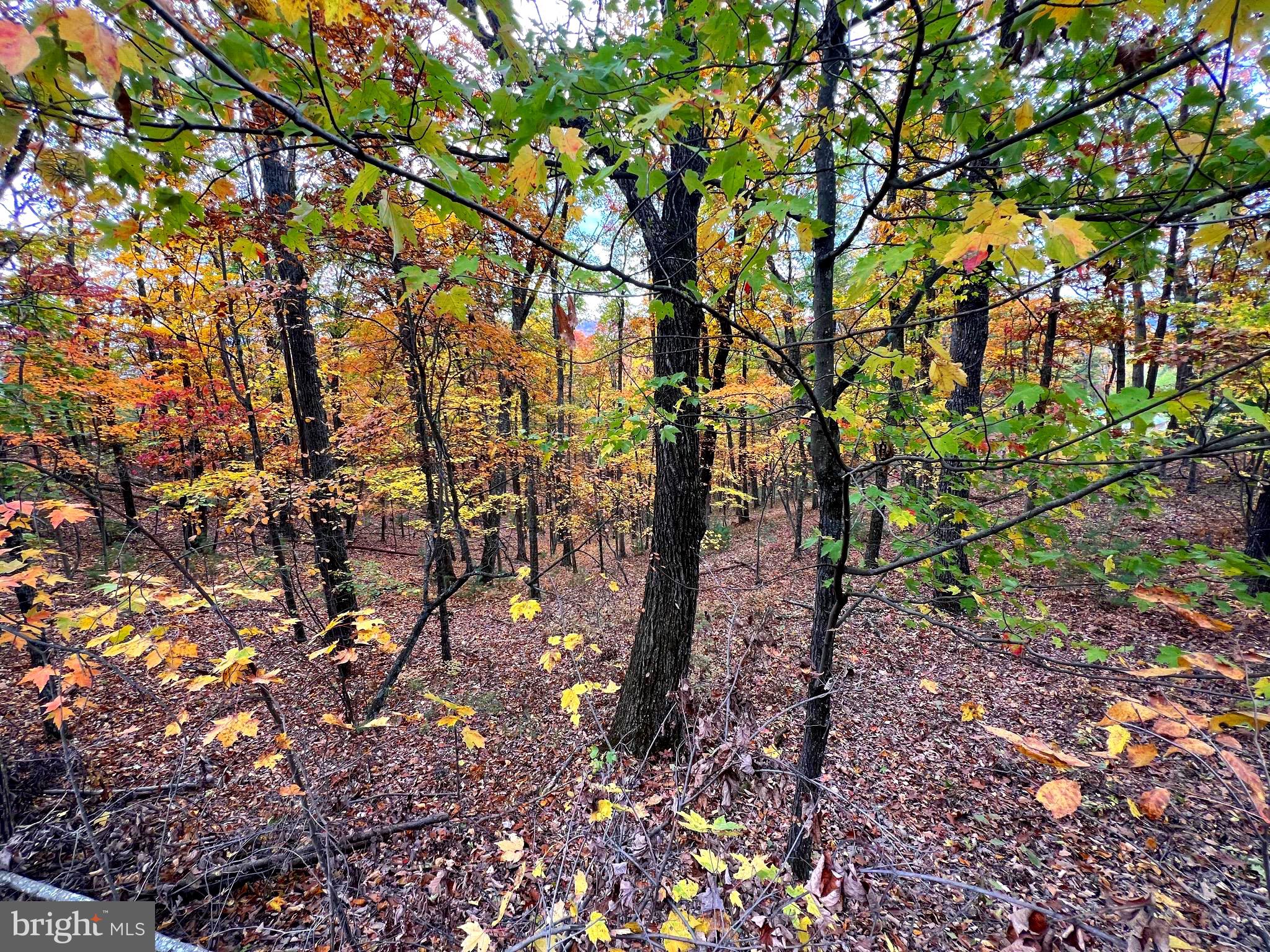 POTOMAV VALLEY OVERLOOK - Land
