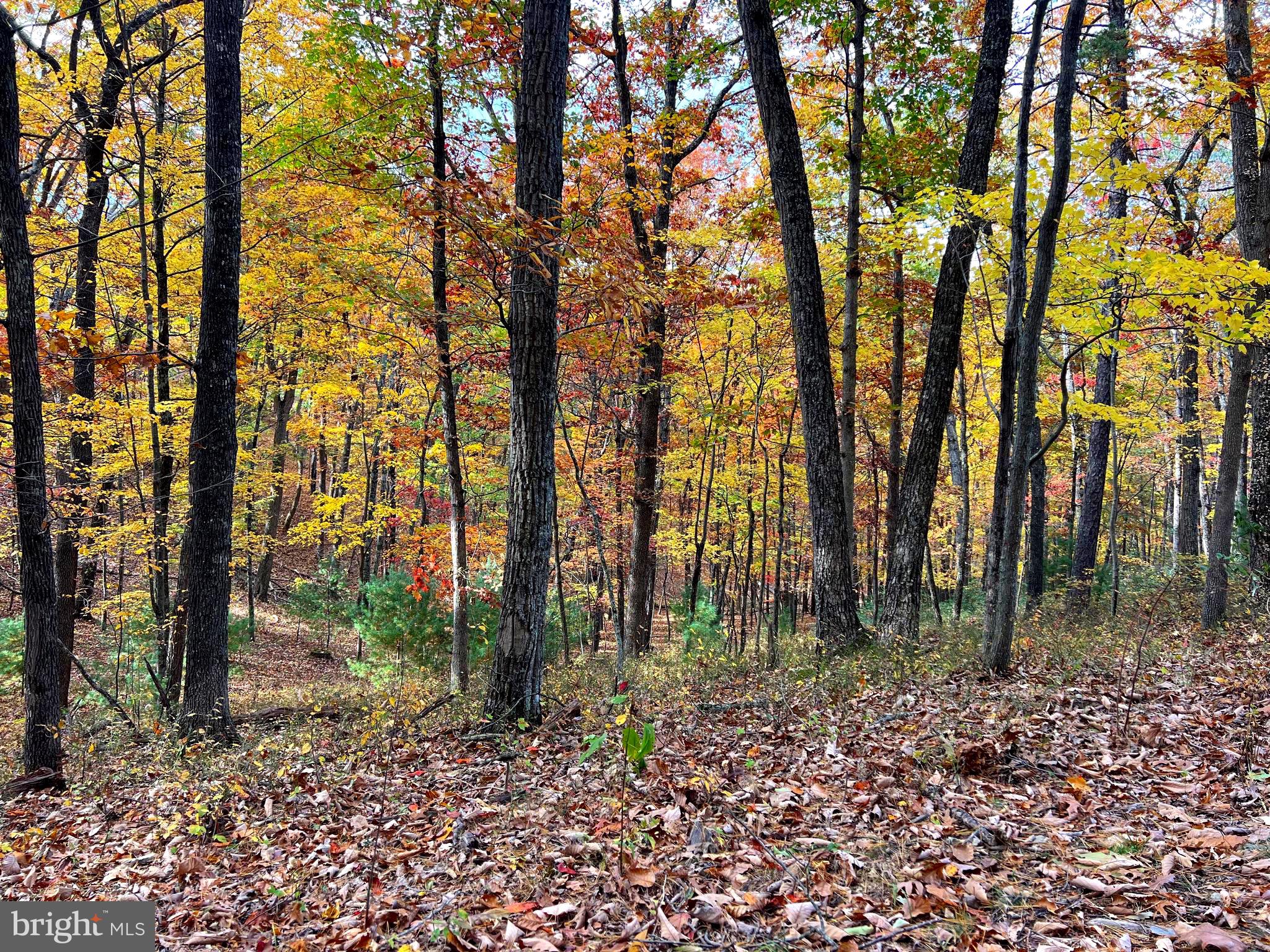 POTOMAV VALLEY OVERLOOK - Land