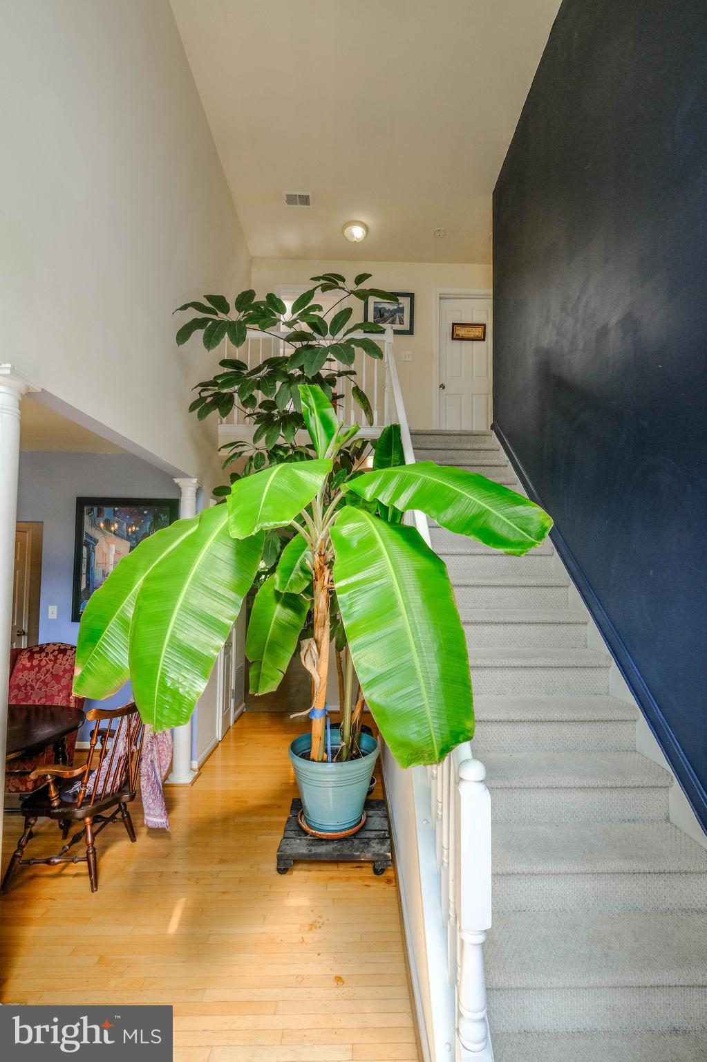 THORNHILL ESTATES - Residential