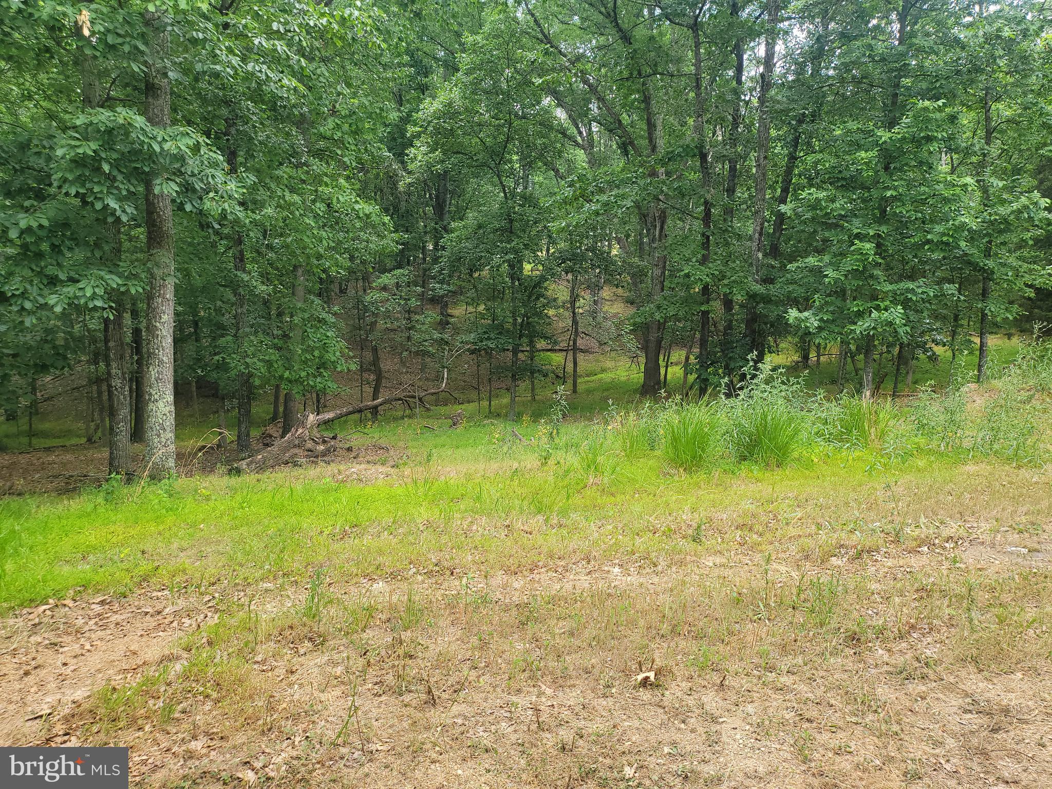 CACAPON VIEW - Residential