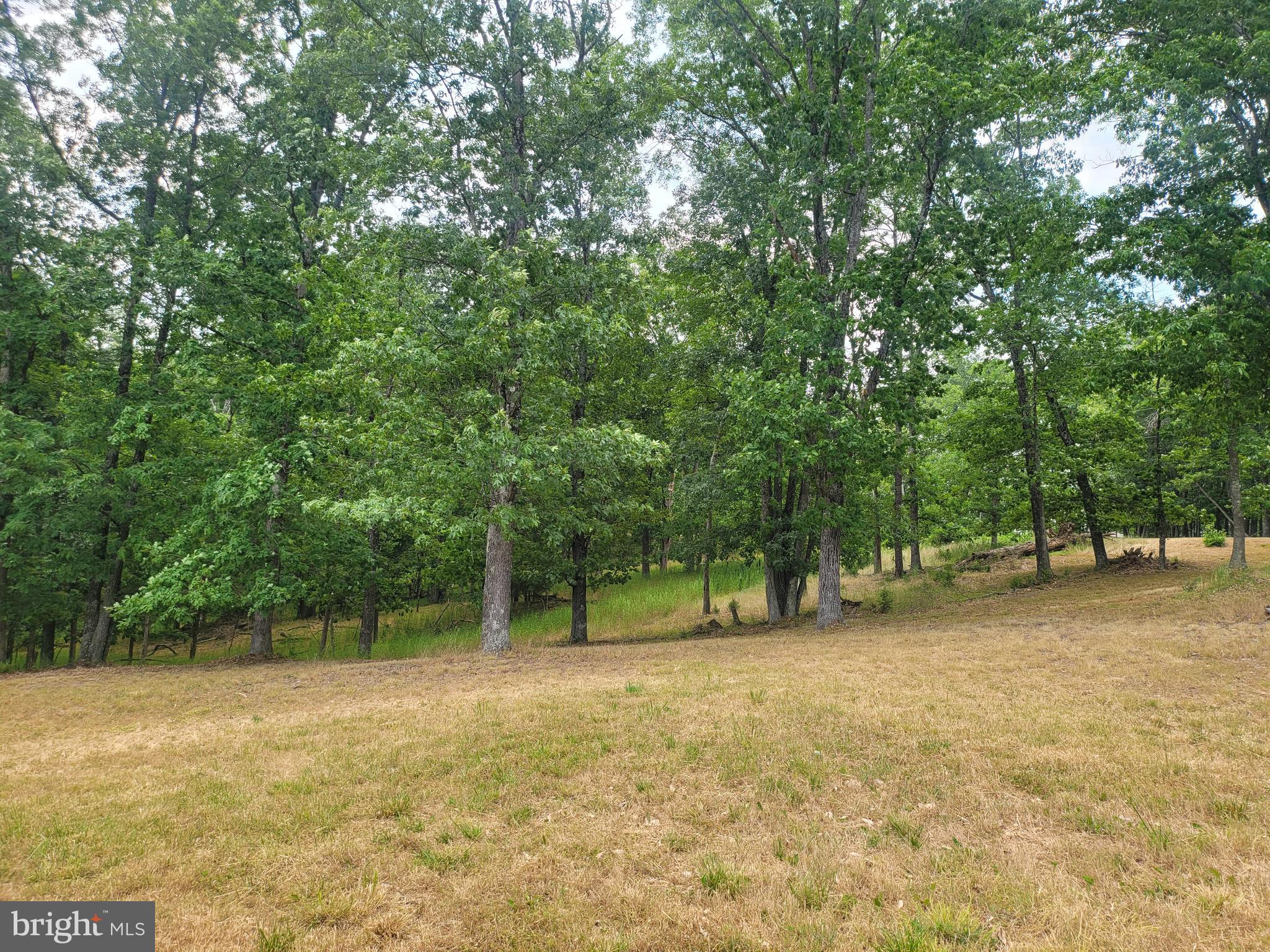 CACAPON VIEW - Residential