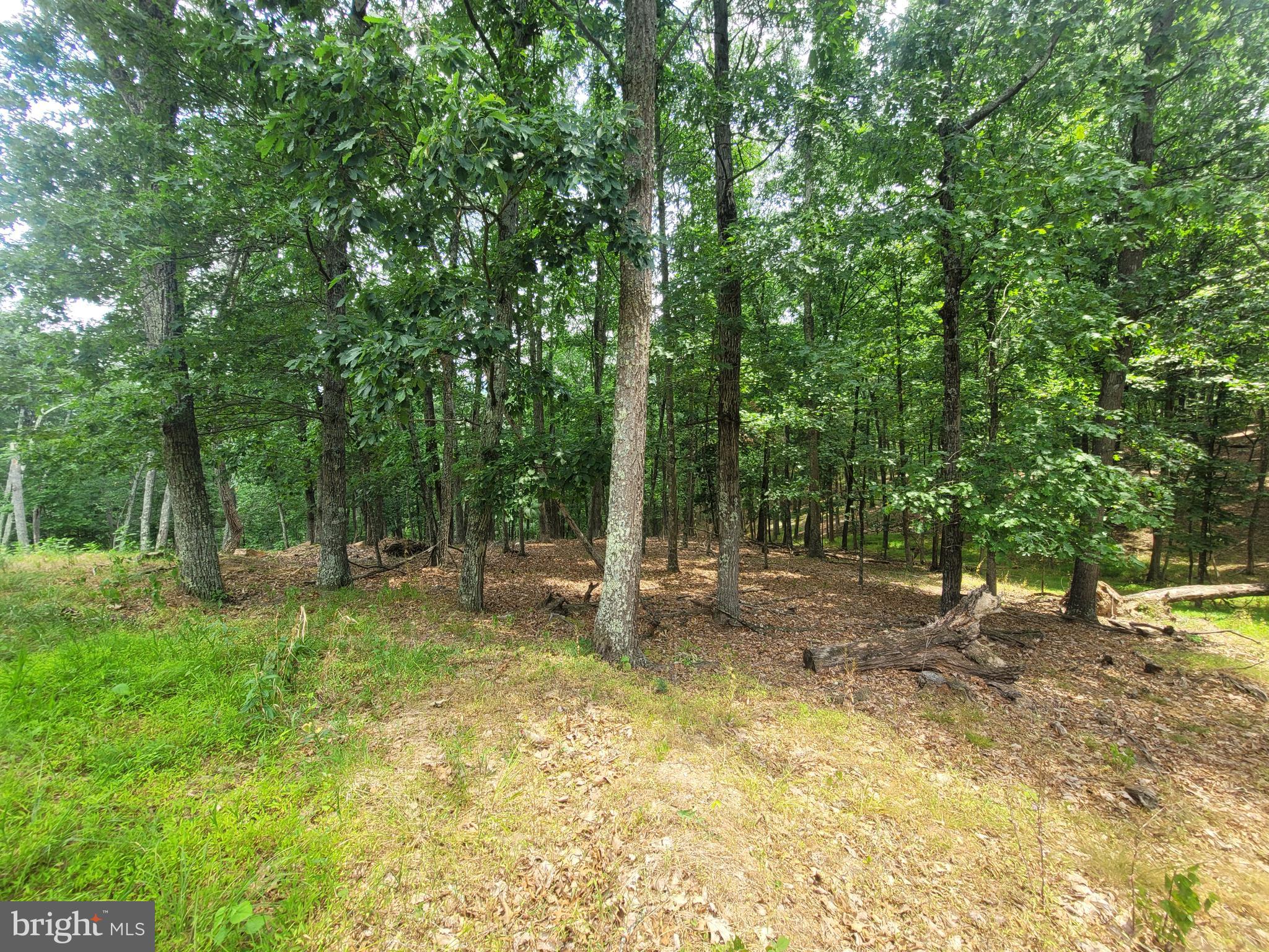 CACAPON VIEW - Residential