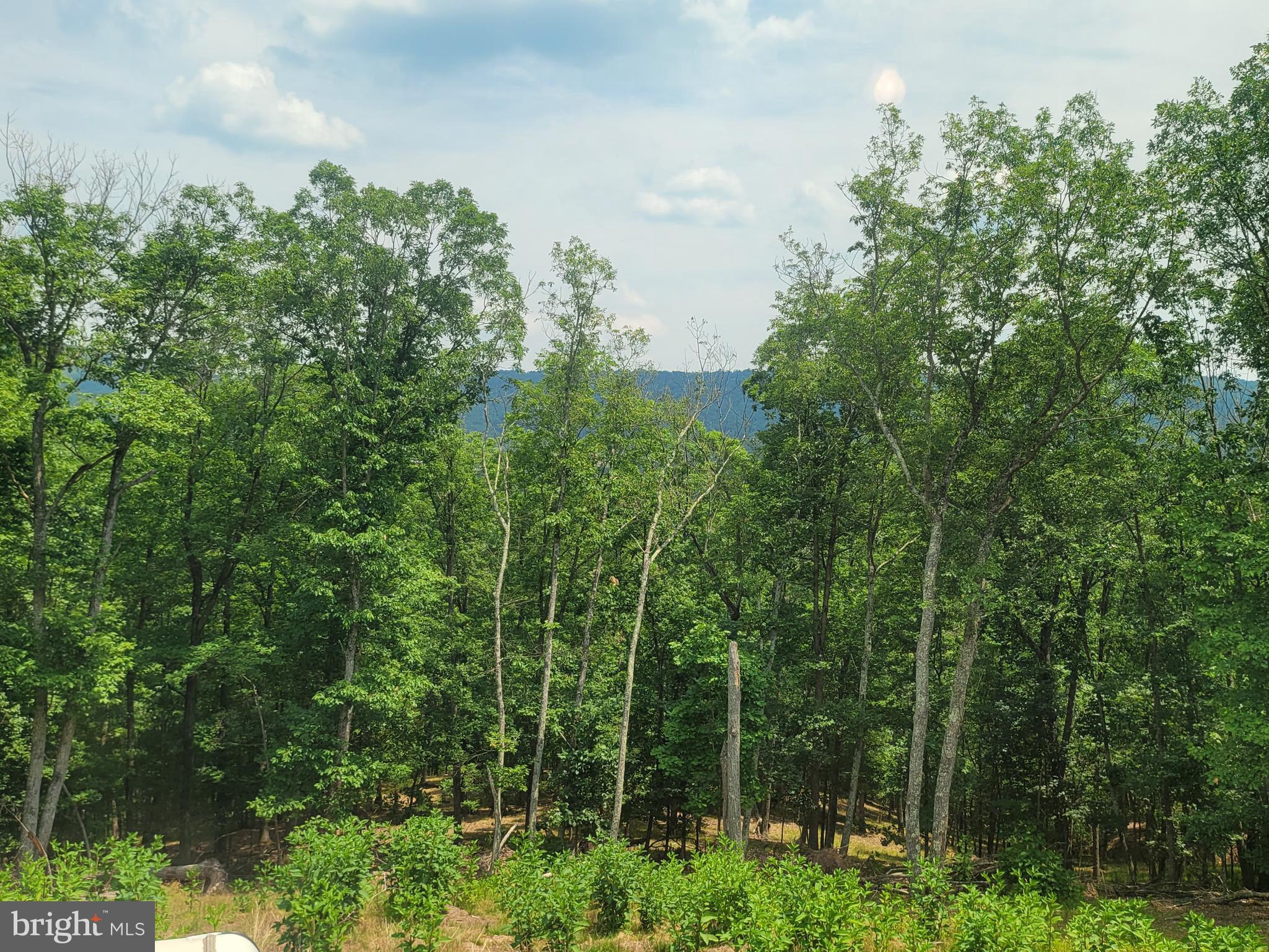 CACAPON VIEW - Residential