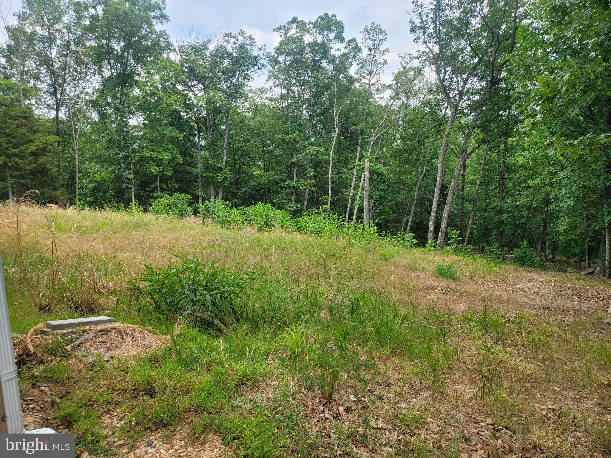 CACAPON VIEW - Residential