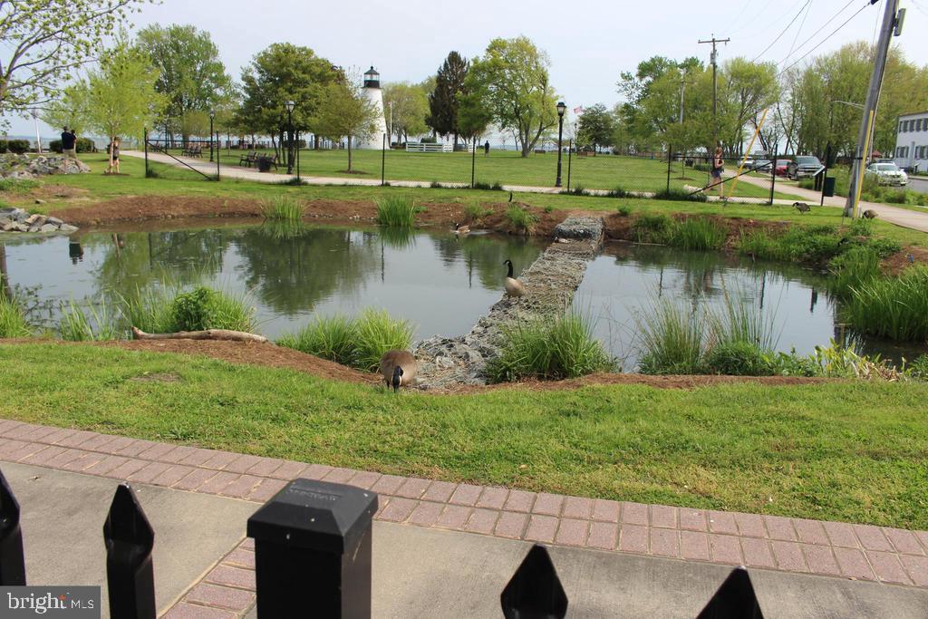 CANVASBACK COVE - Residential Lease