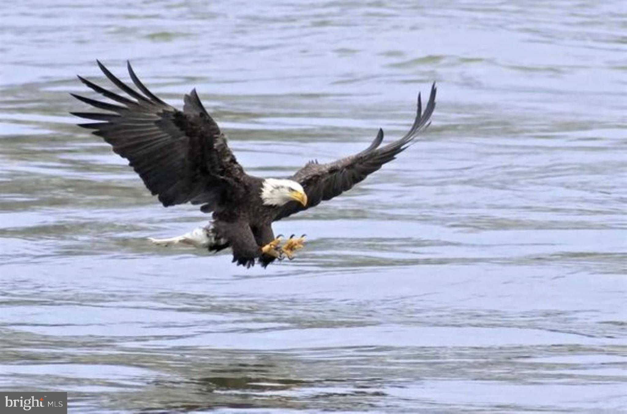 CANVASBACK COVE - Residential Lease