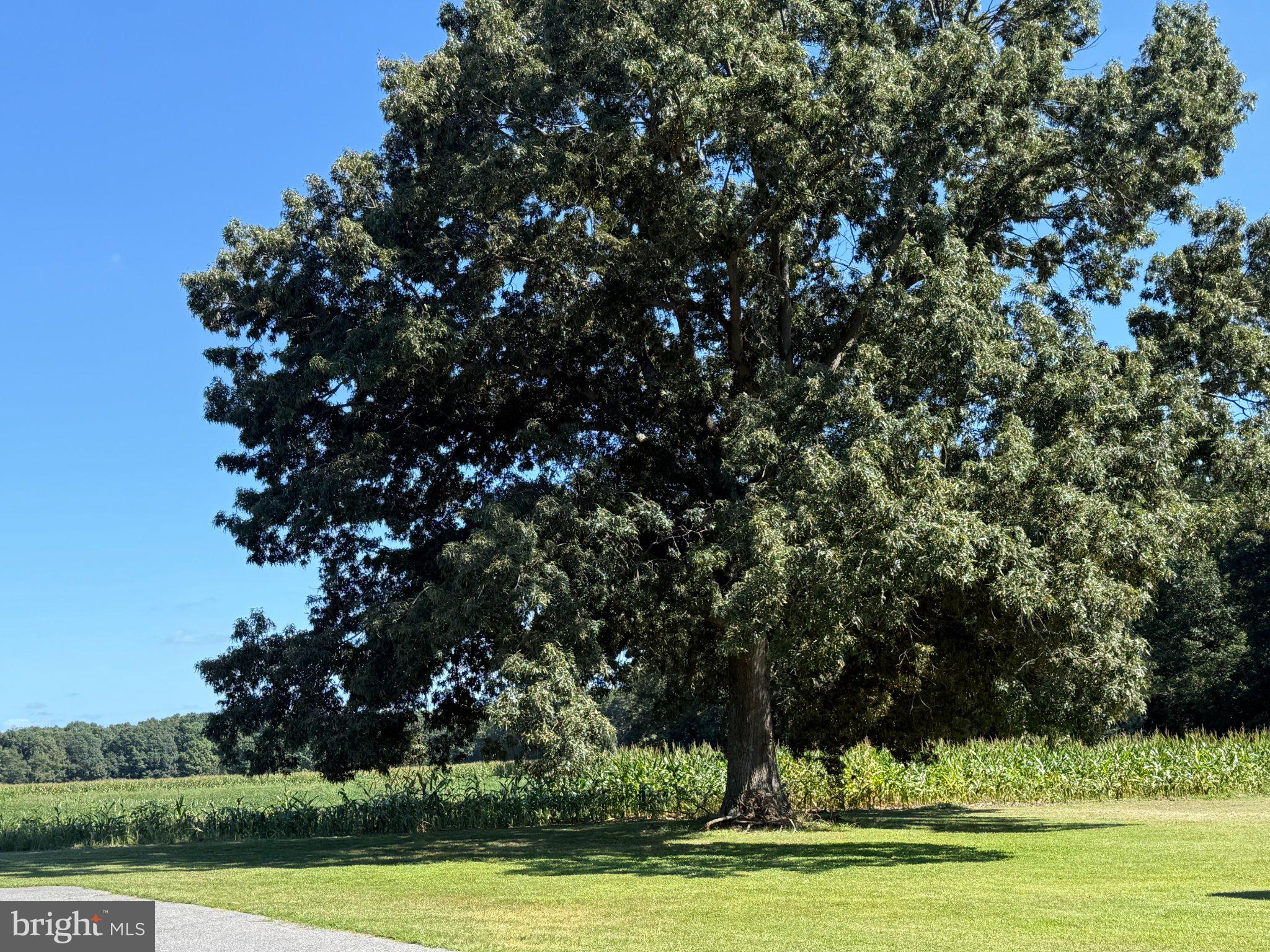 437 RAMAH ROAD