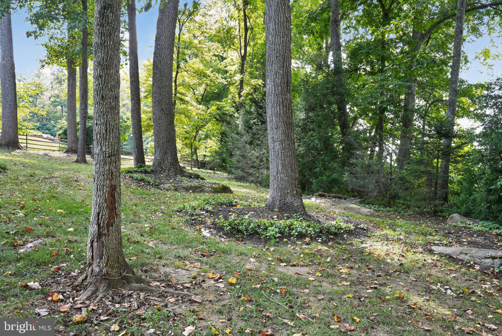 RADNOR HUNT - Residential