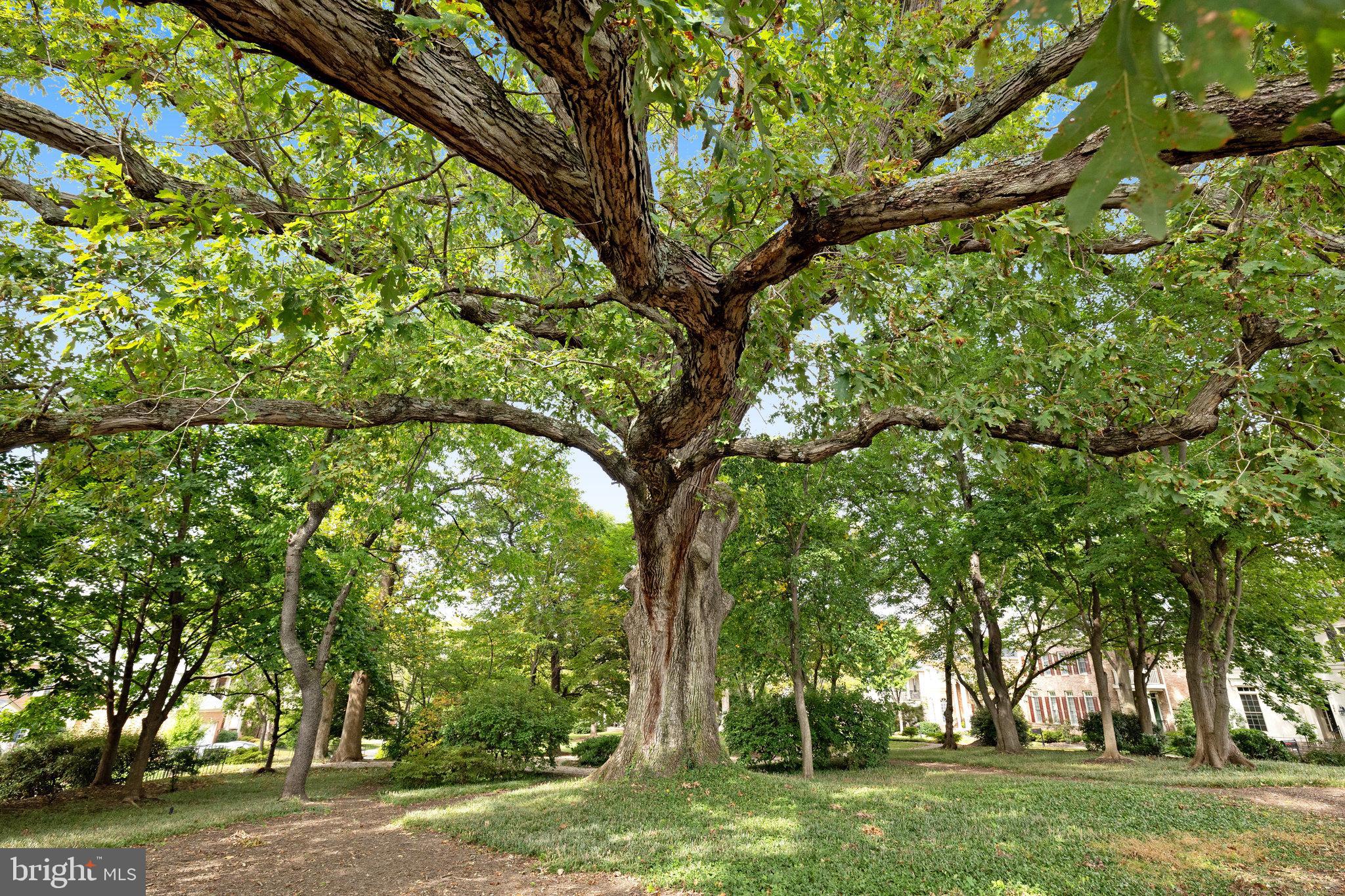 FARRCROFT - Residential