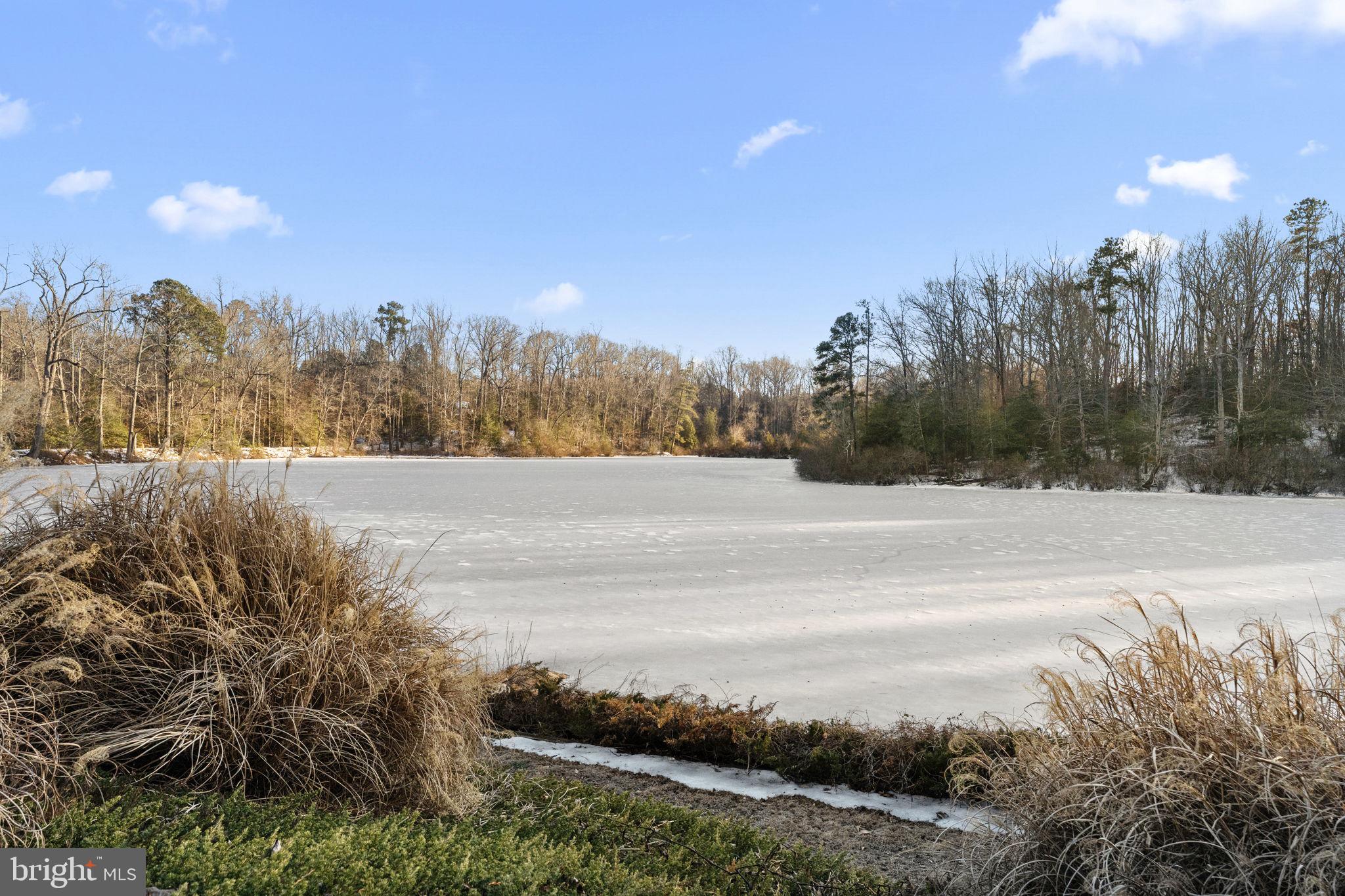 MEADOW FARMS - Residential