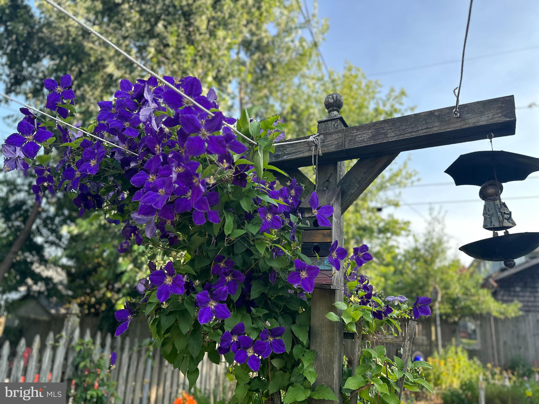 WESTFIELD - Residential