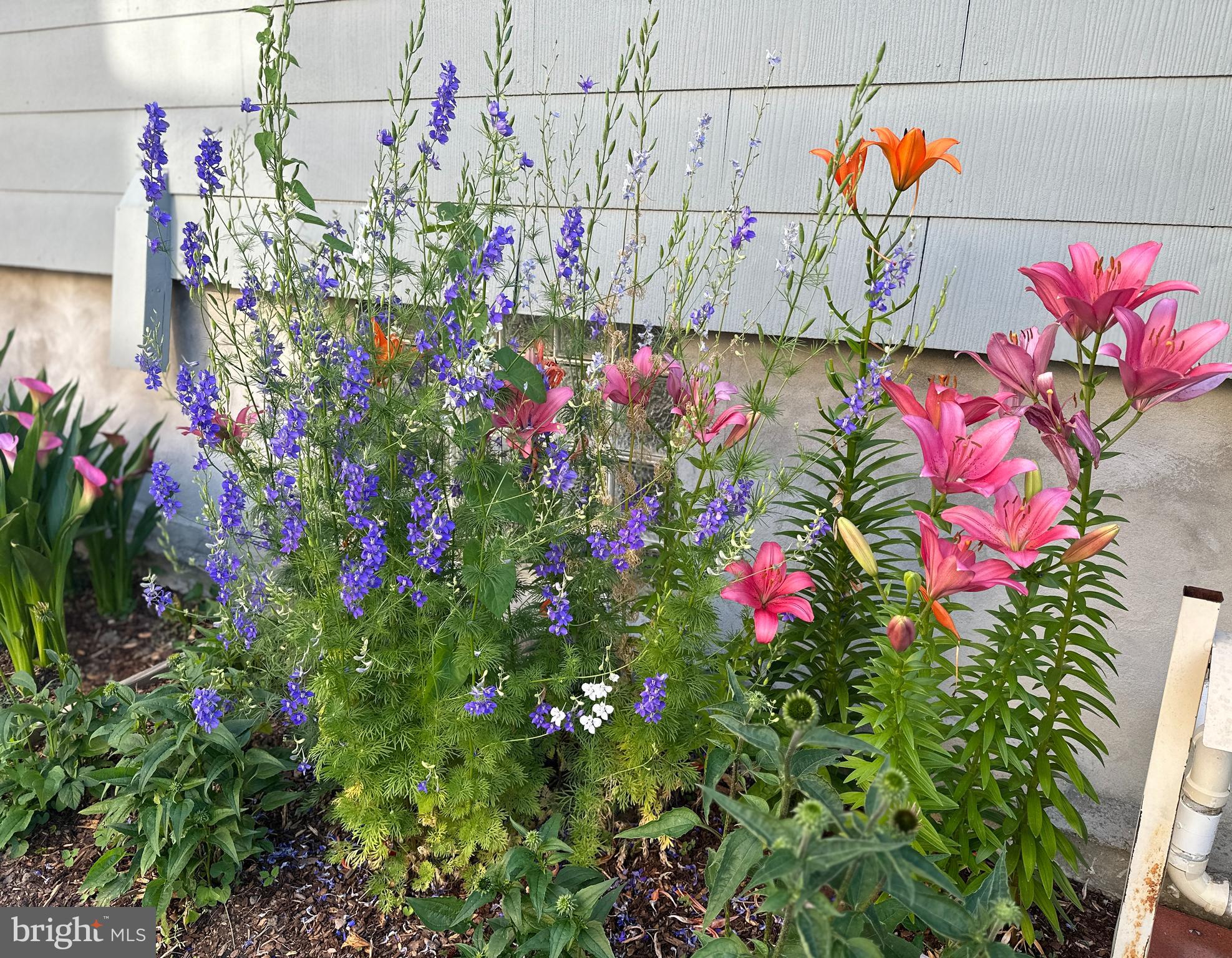 WESTFIELD - Residential