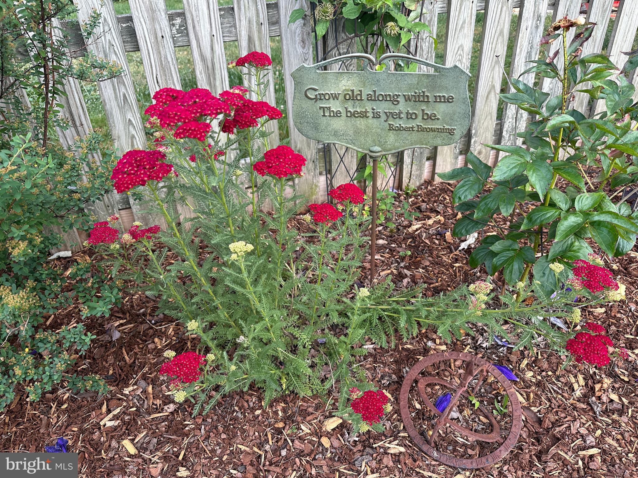 WESTFIELD - Residential