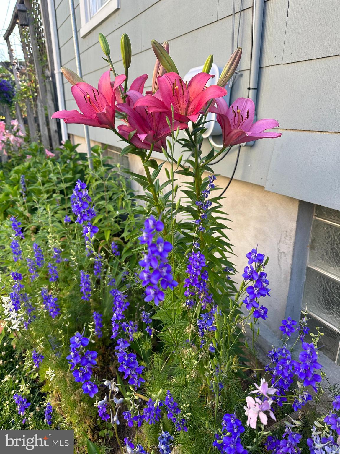 WESTFIELD - Residential