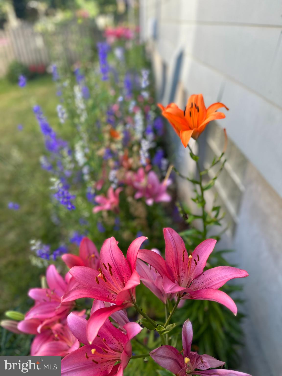 WESTFIELD - Residential