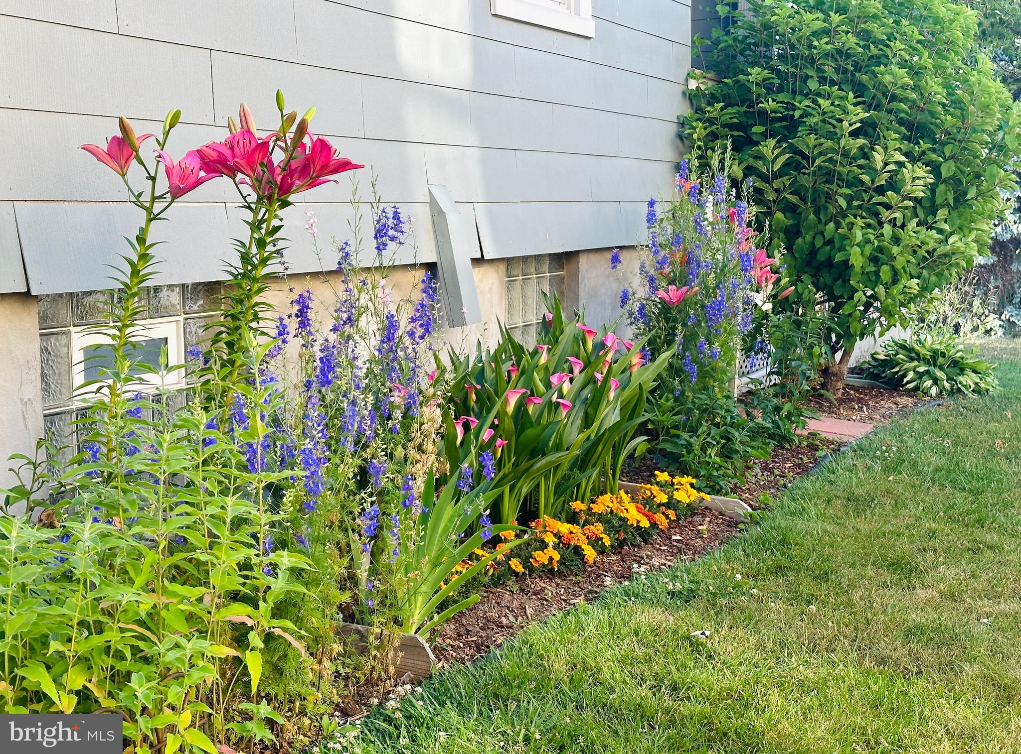 WESTFIELD - Residential