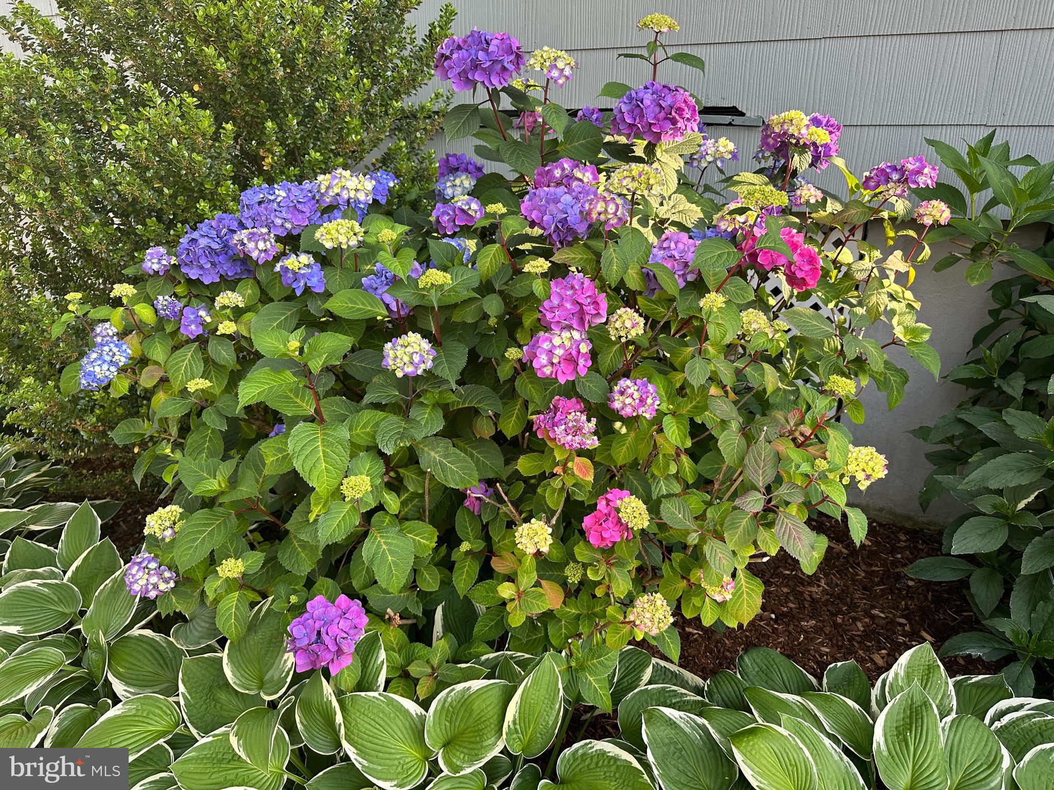 WESTFIELD - Residential