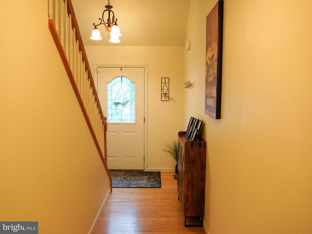 151 FAUST CIRCLE