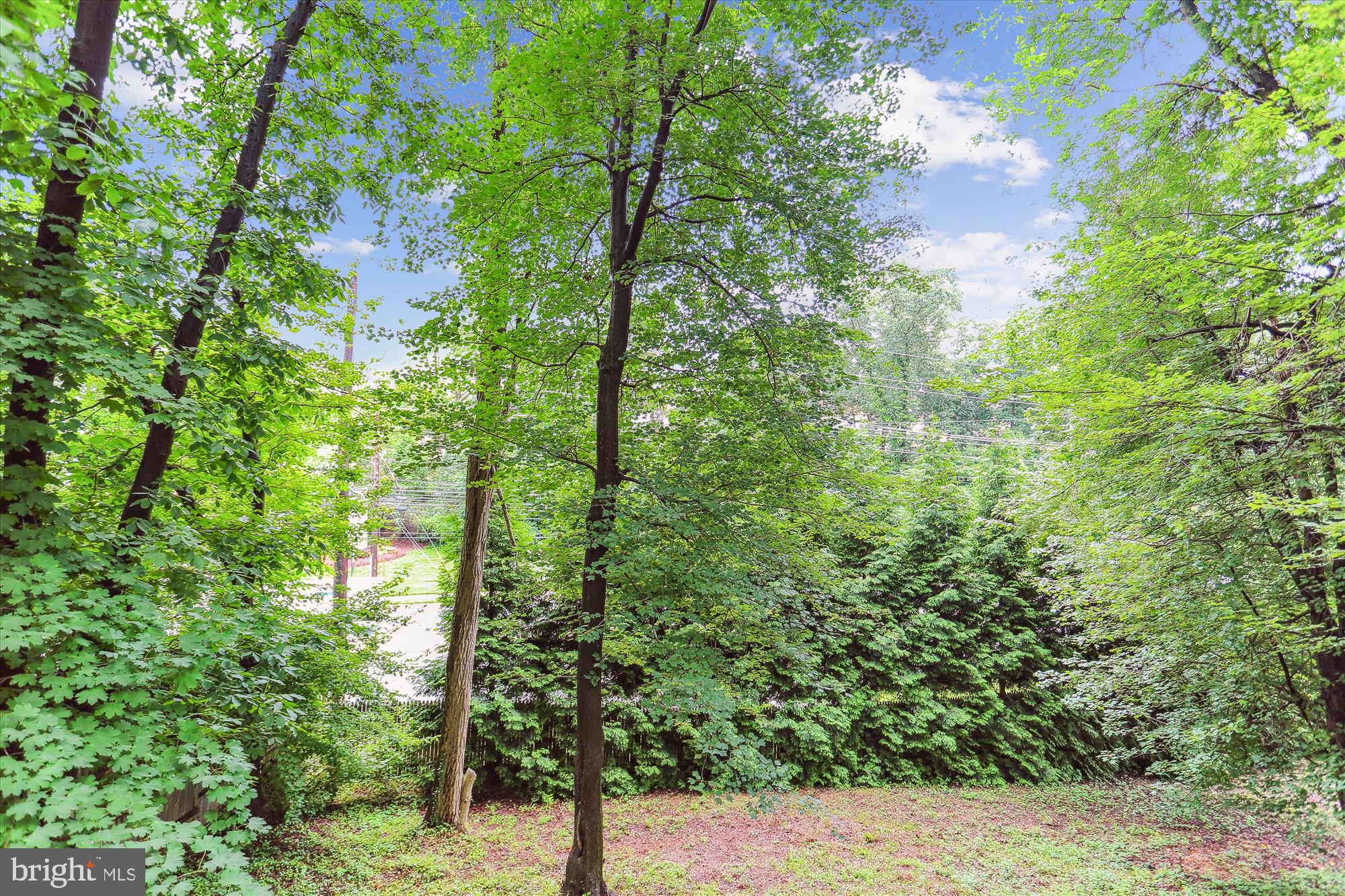 POTOMAC SPRINGS - Residential