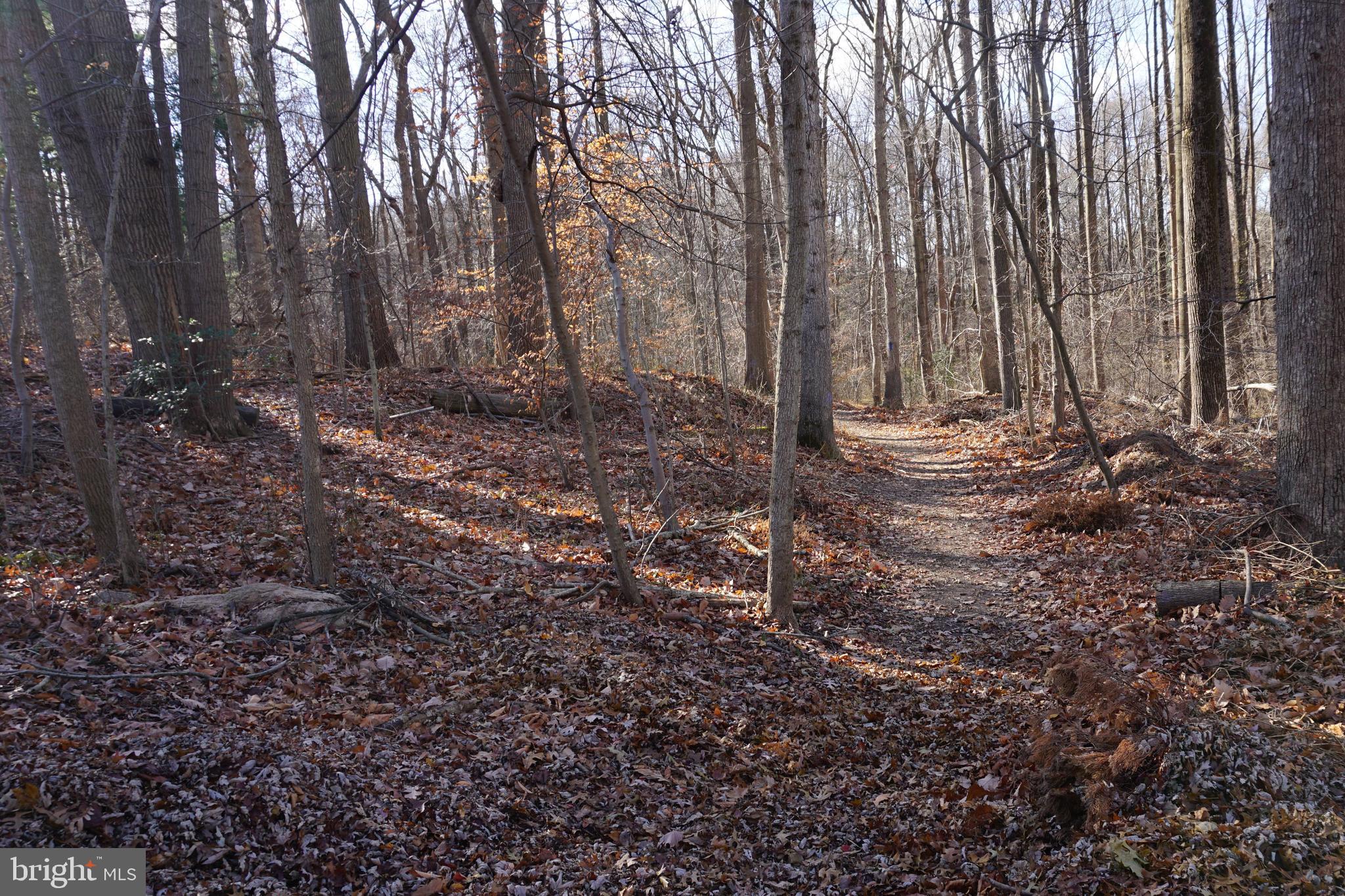 HAMMOND VILLAGE - Residential