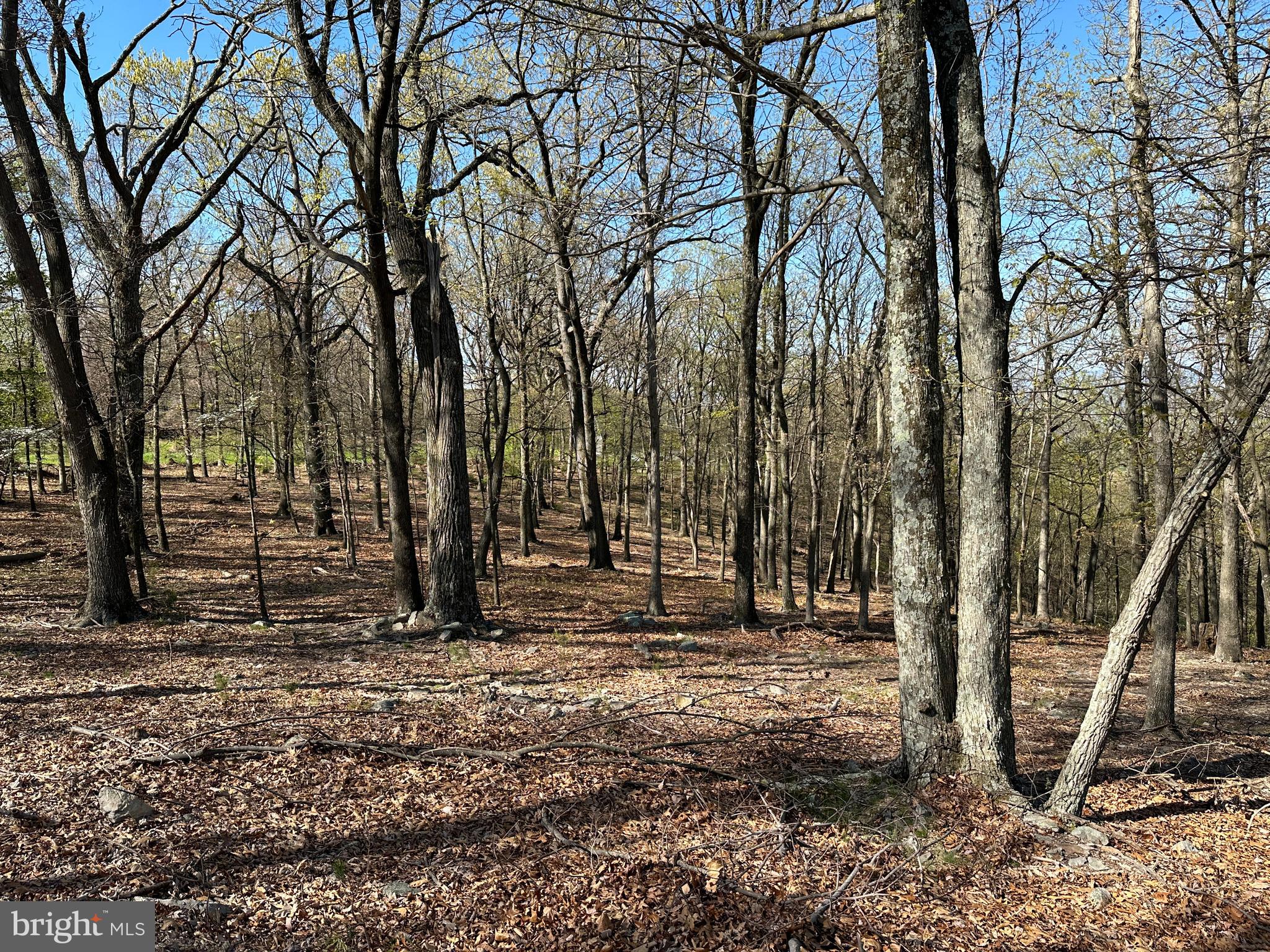 BLUFFS ON THE POTOMAC - Land