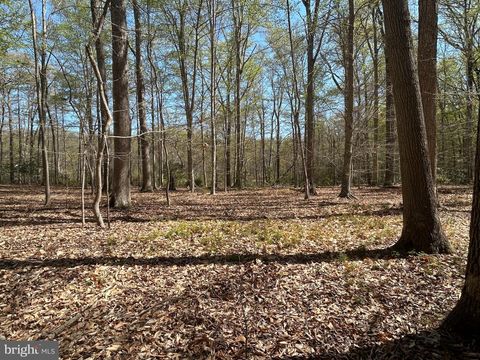 MLS: MDCC2016700