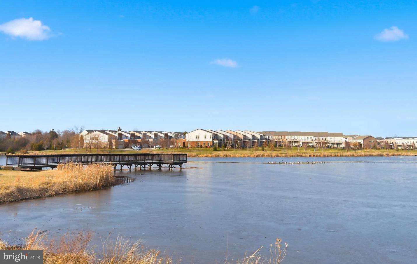 BIRCHWOOD AT BRAMBLETON - Residential