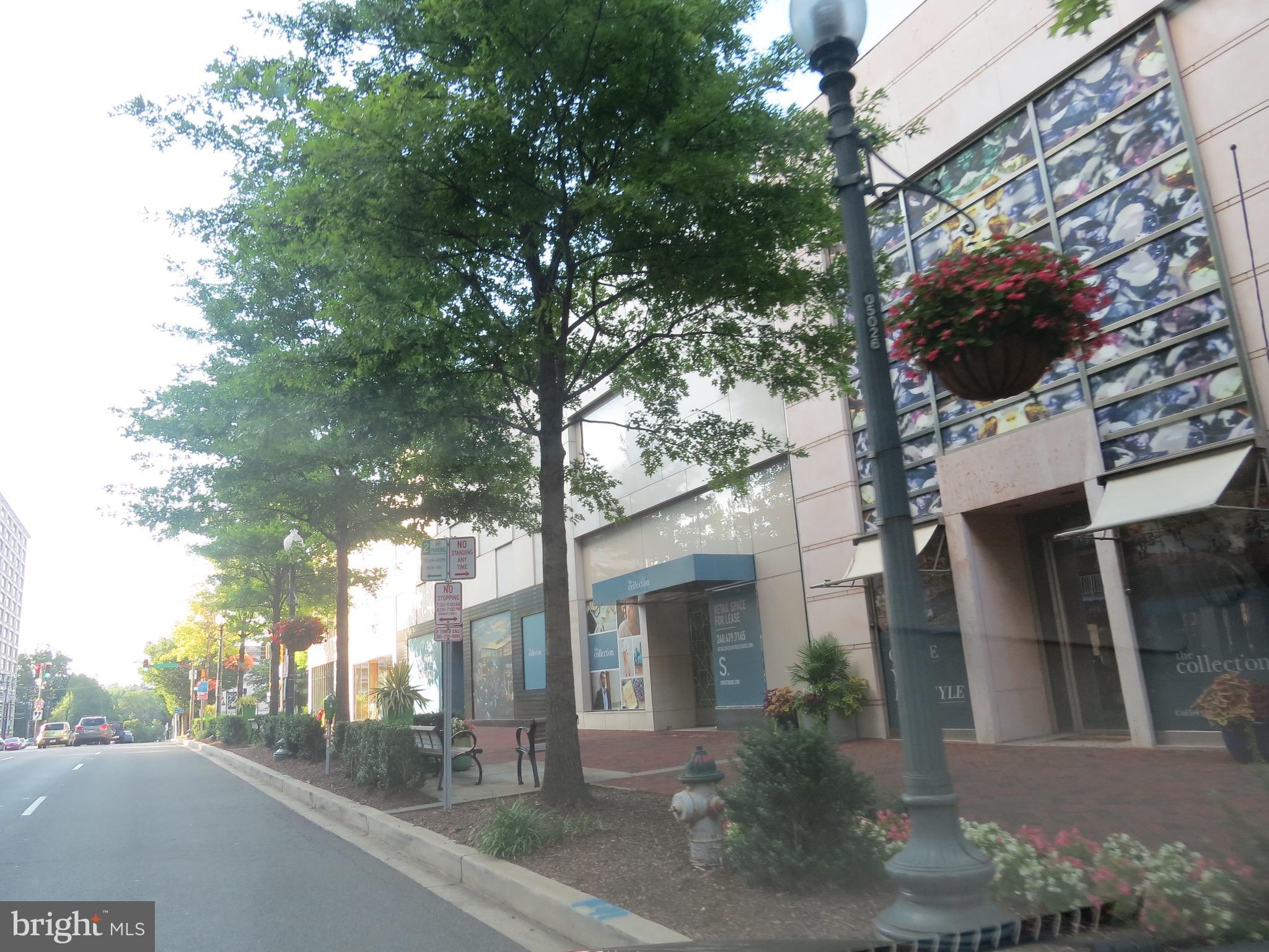 WILLOUGHBY OF CHEVY CHASE - Residential