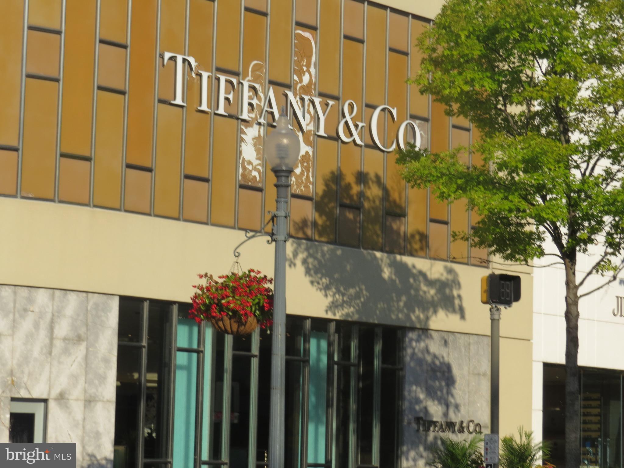 WILLOUGHBY OF CHEVY CHASE - Residential