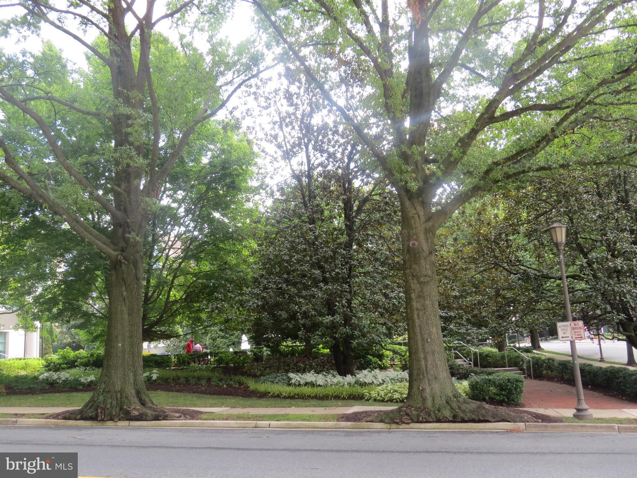 WILLOUGHBY OF CHEVY CHASE - Residential