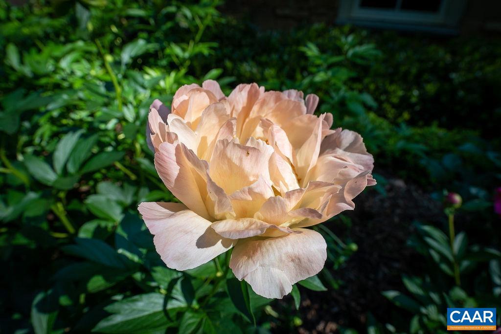 RIVANNA - Residential