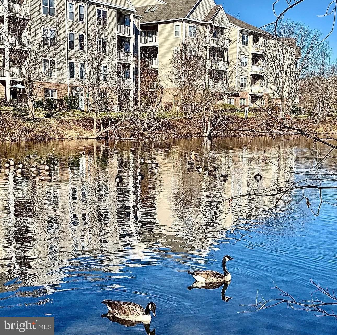 CHANCERY OF KINGSTOWNE - Residential