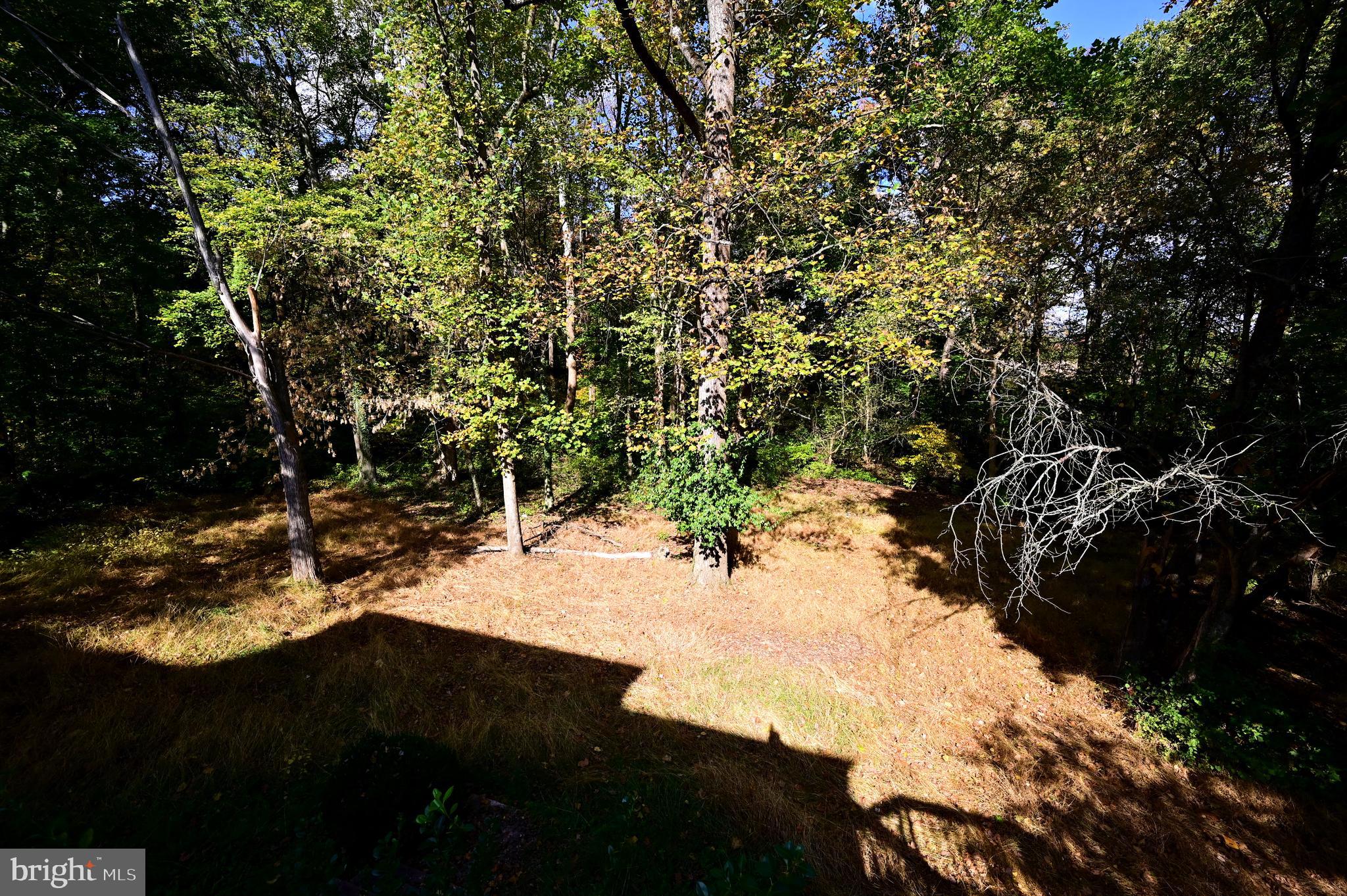 LONGLEAF-PLAT 1> - Residential