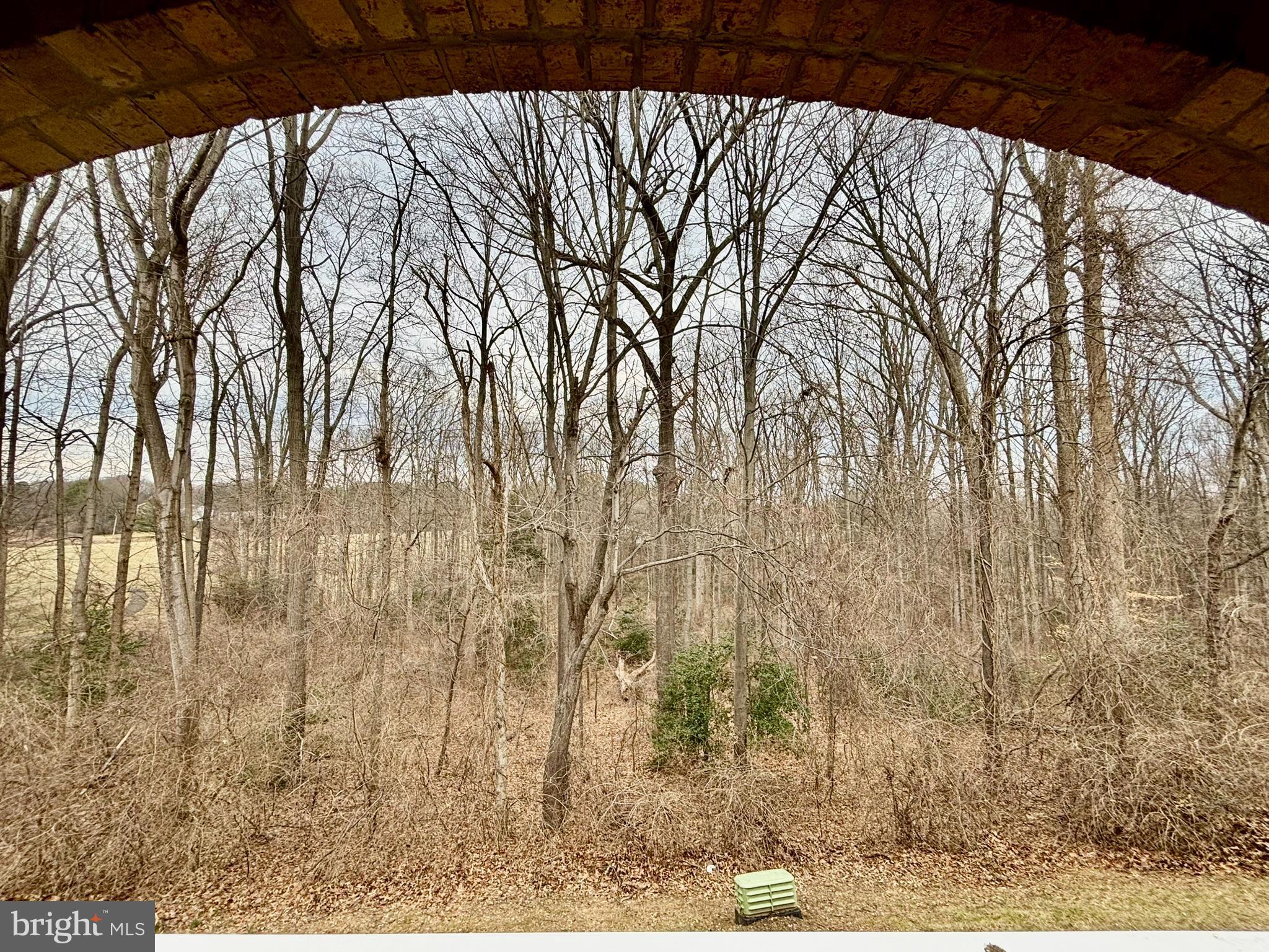 BURKE COVE - Residential Lease