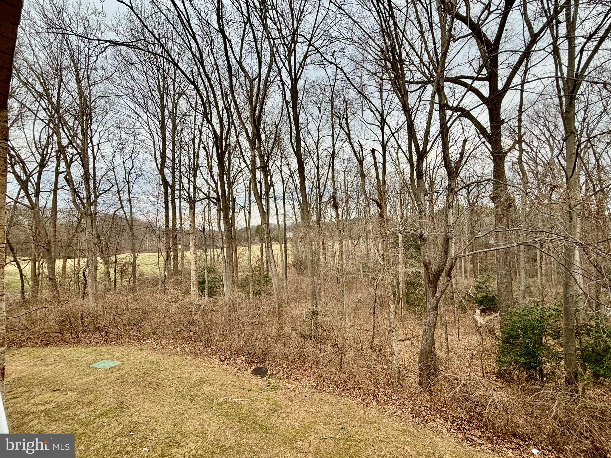 BURKE COVE - Residential Lease