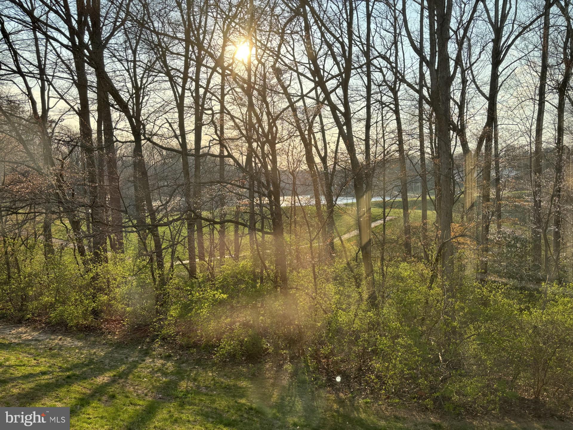 BURKE COVE - Residential Lease