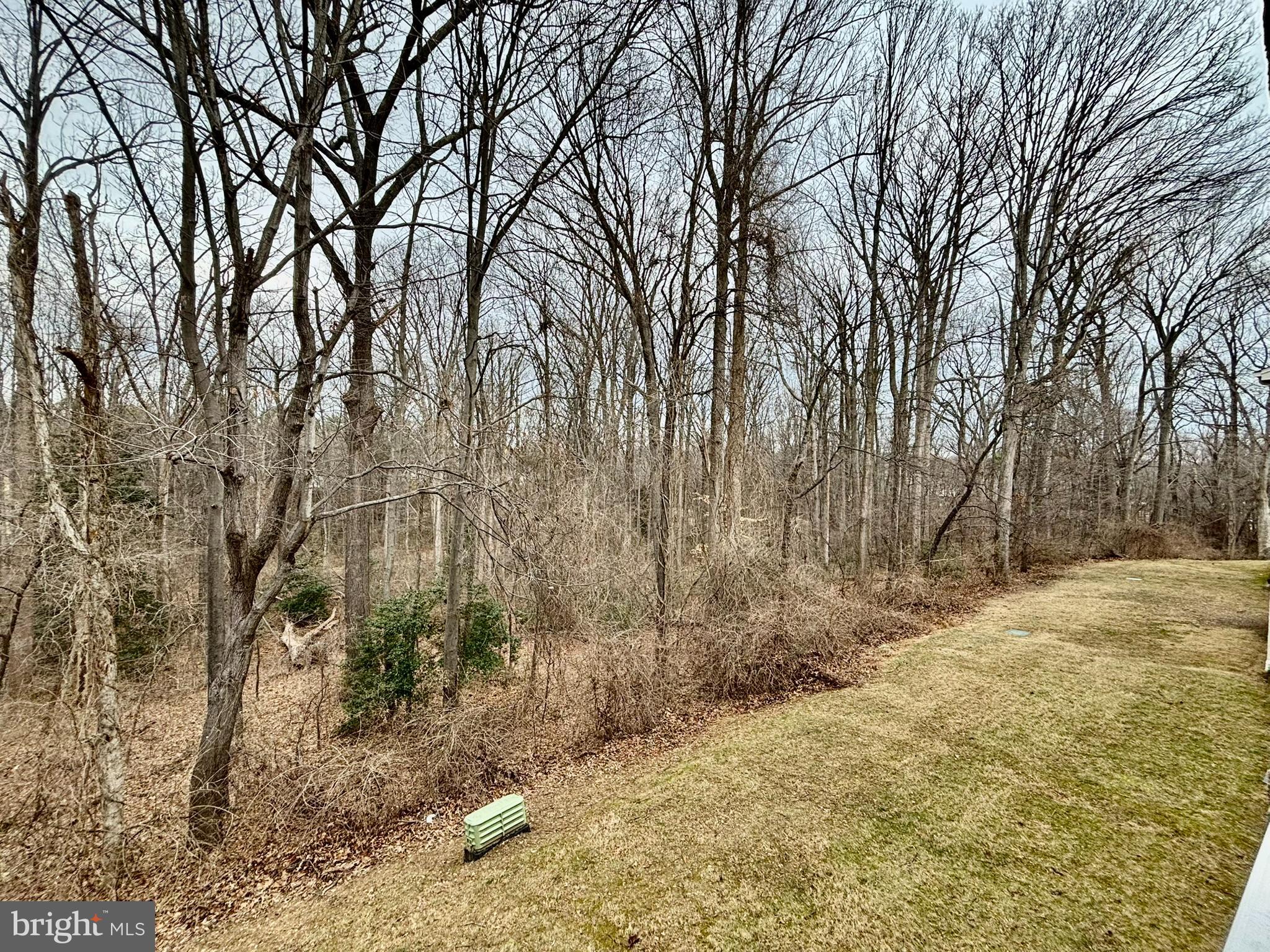 BURKE COVE - Residential Lease