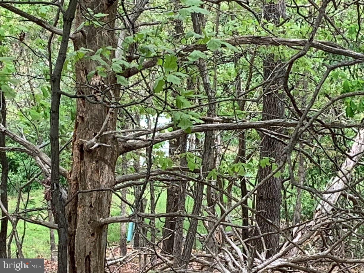 LAKE HOLIDAY ESTATES - Land