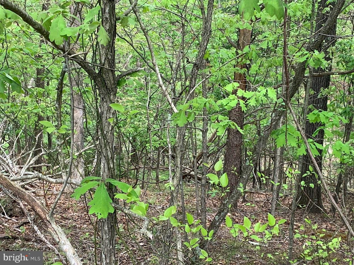 LAKE HOLIDAY ESTATES - Land