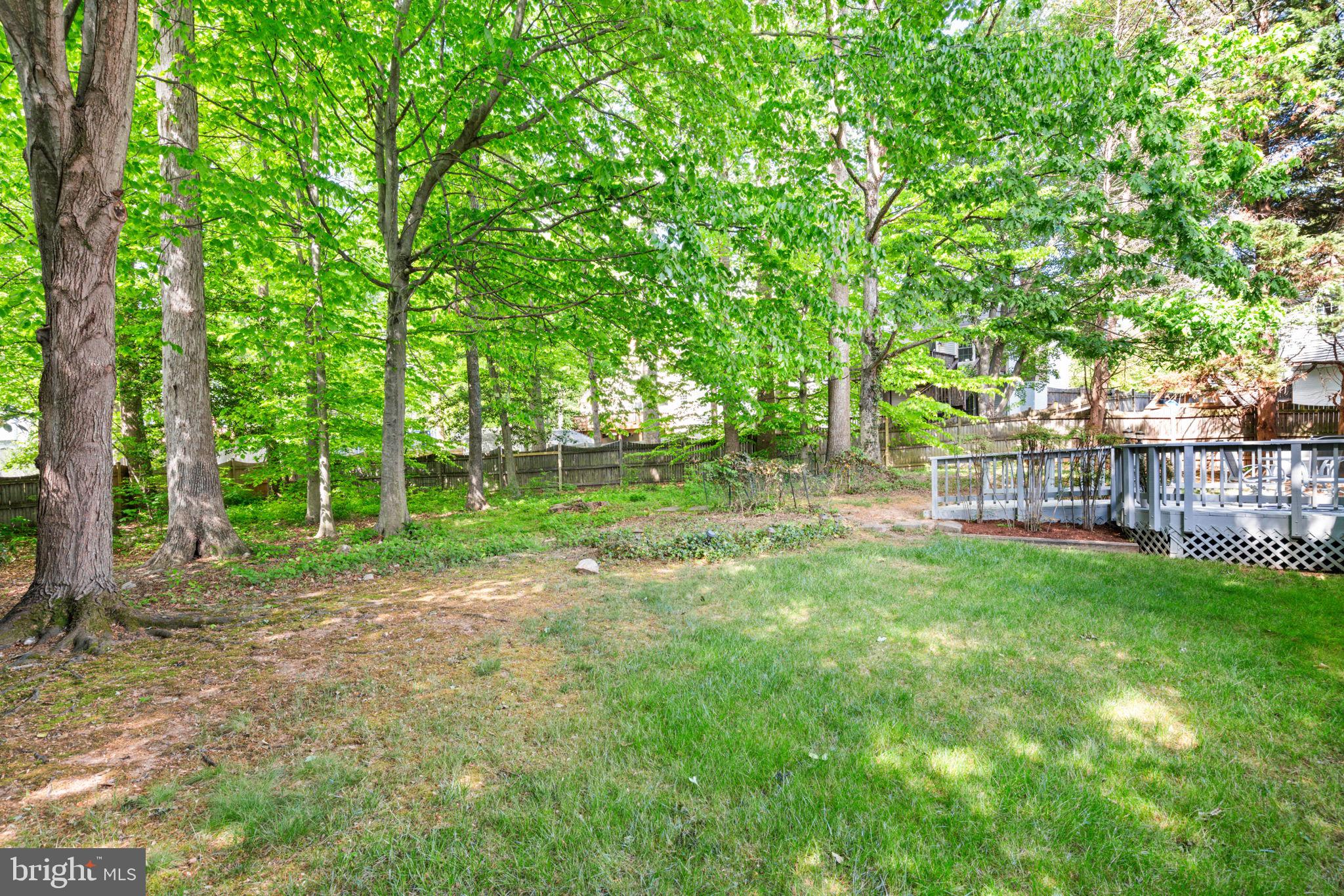 TIMBER RIDGE - Residential