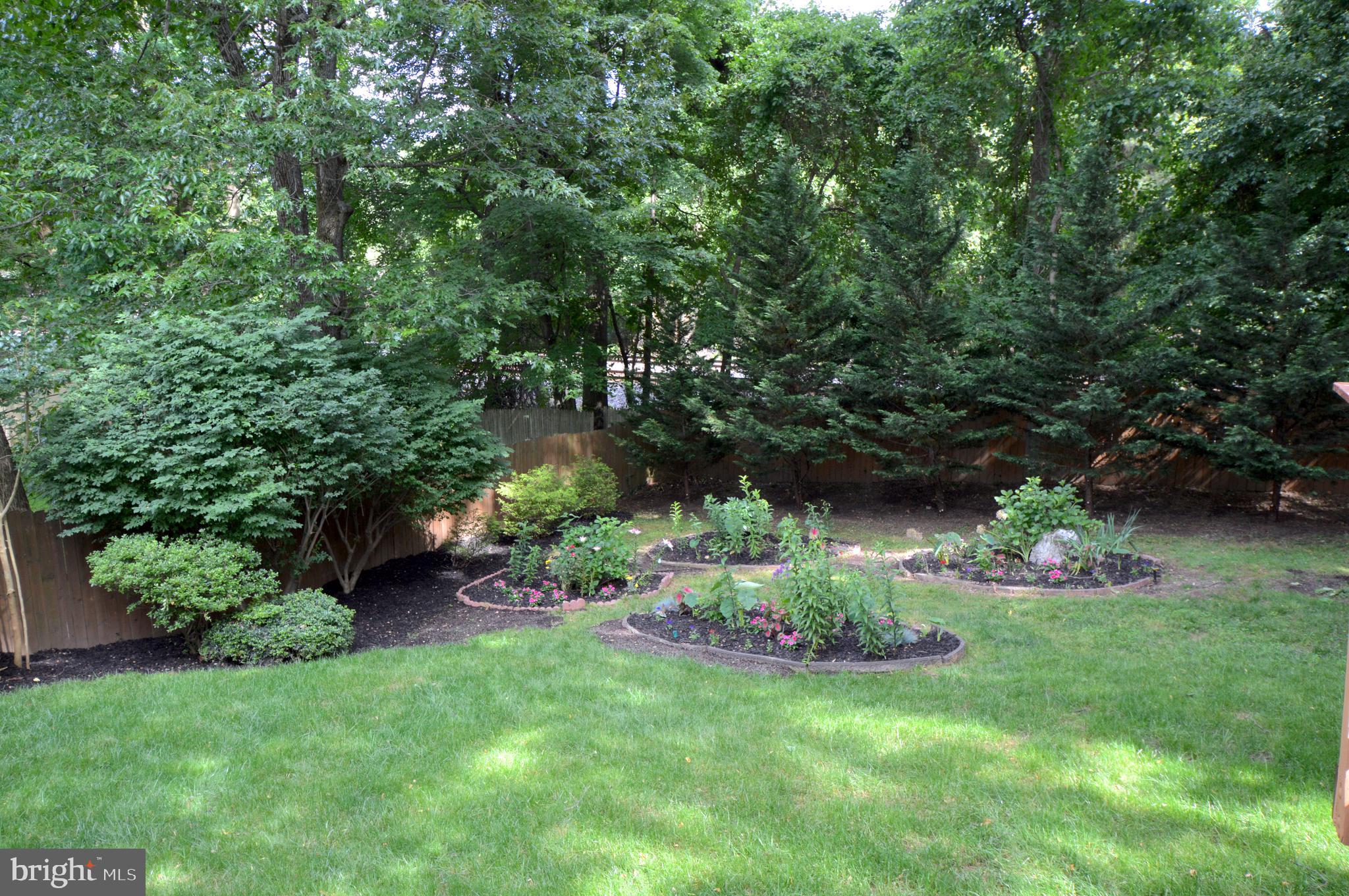 BRADDOCK - Residential Lease