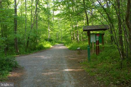 BRADDOCK - Residential Lease